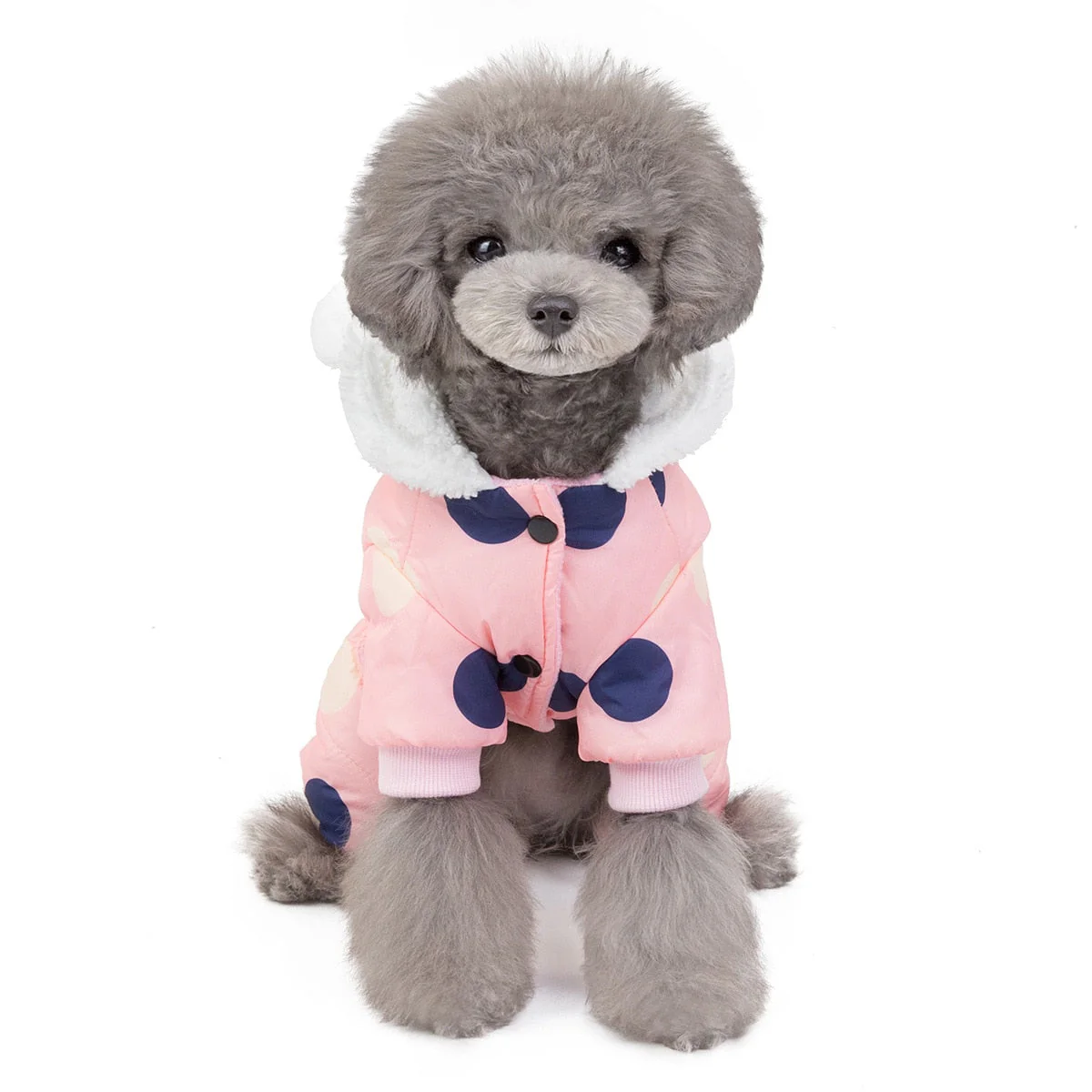Big Polka Dot Snowsuit Jumpsuit - Image 20