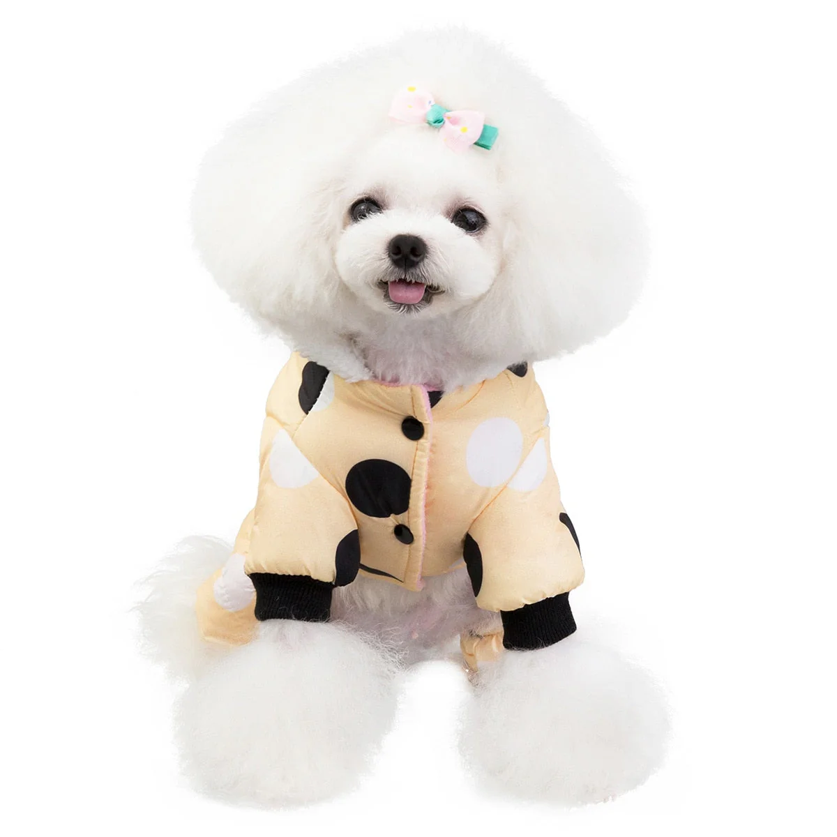 Big Polka Dot Snowsuit Jumpsuit - Image 6