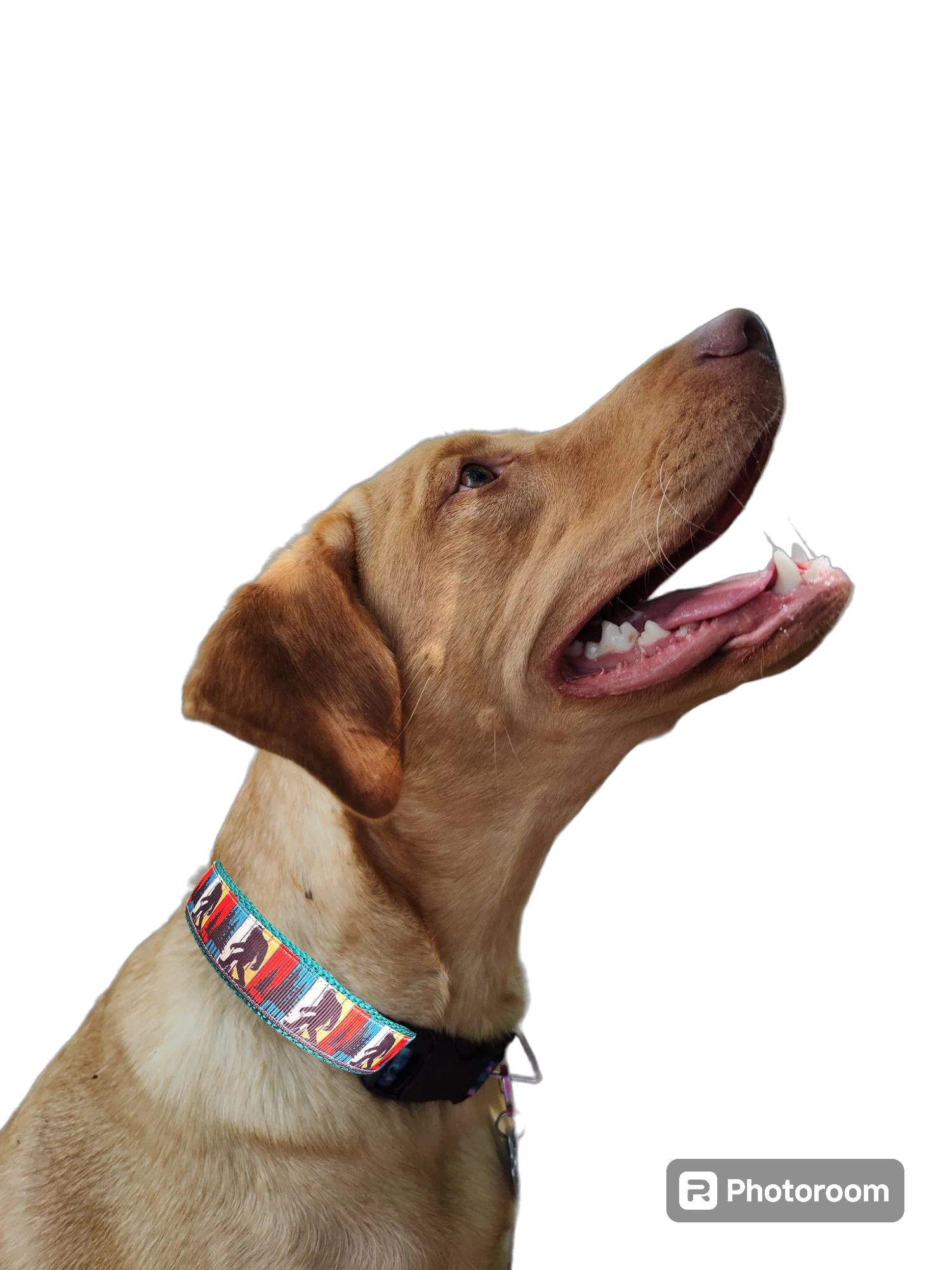 Bigfoot Sasquatch Black Nylon Dog Collar MD, LG, XL, Leash - Image 9