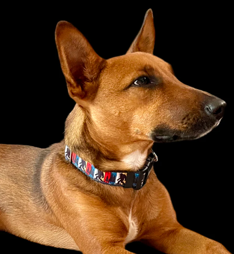 Bigfoot Sasquatch Green Nylon Dog Collar MD, LG, XL, Leash - Image 7