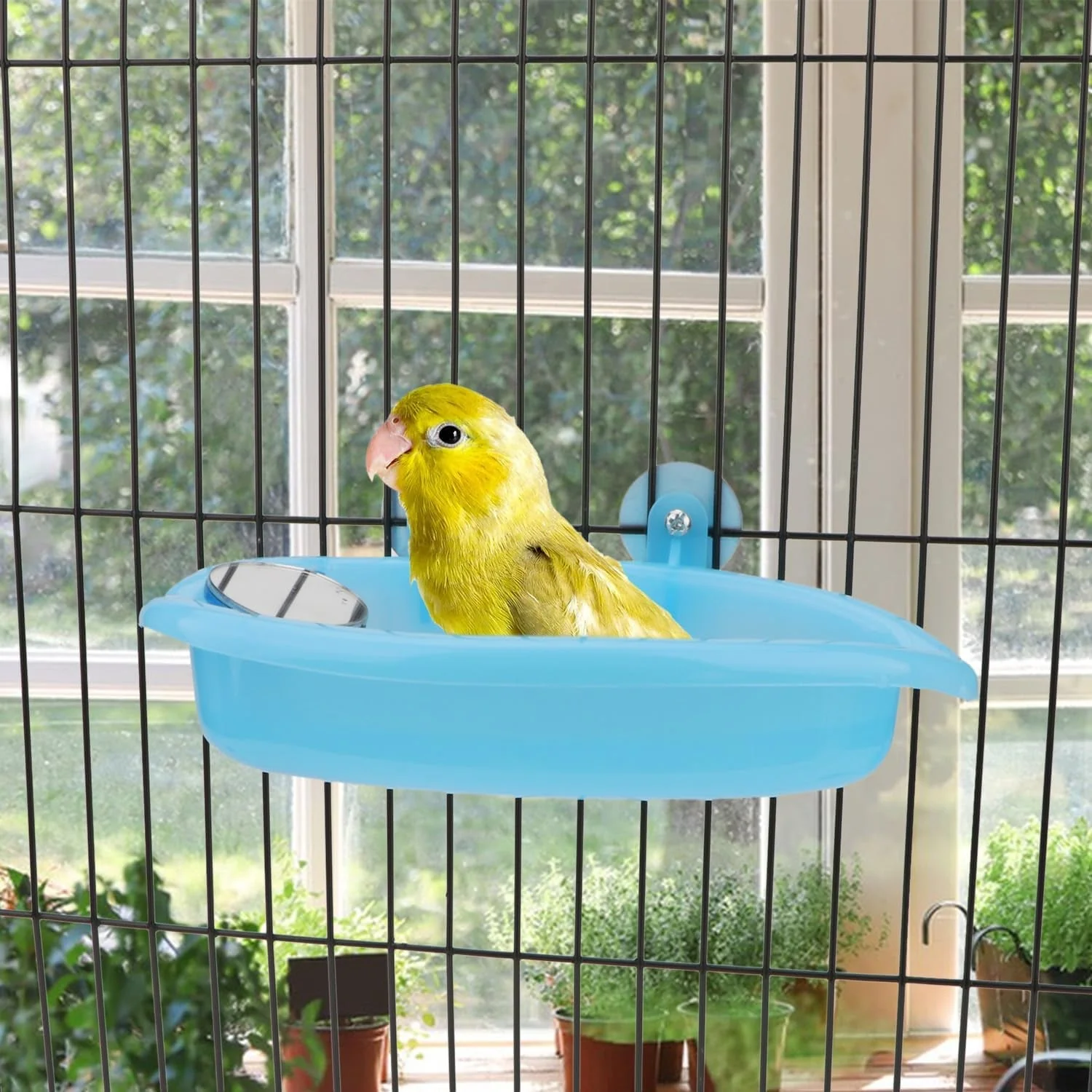 Bird Bath with Mirror Portable - Image 5