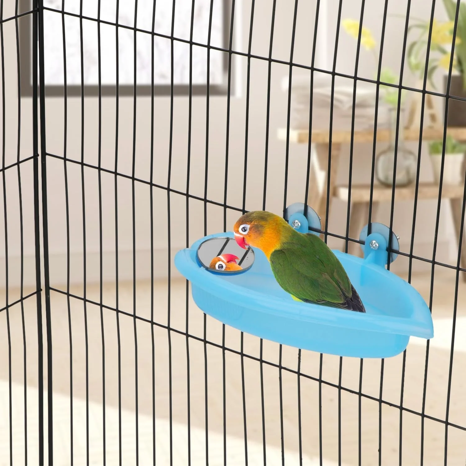 Bird Bath with Mirror Portable - Image 6