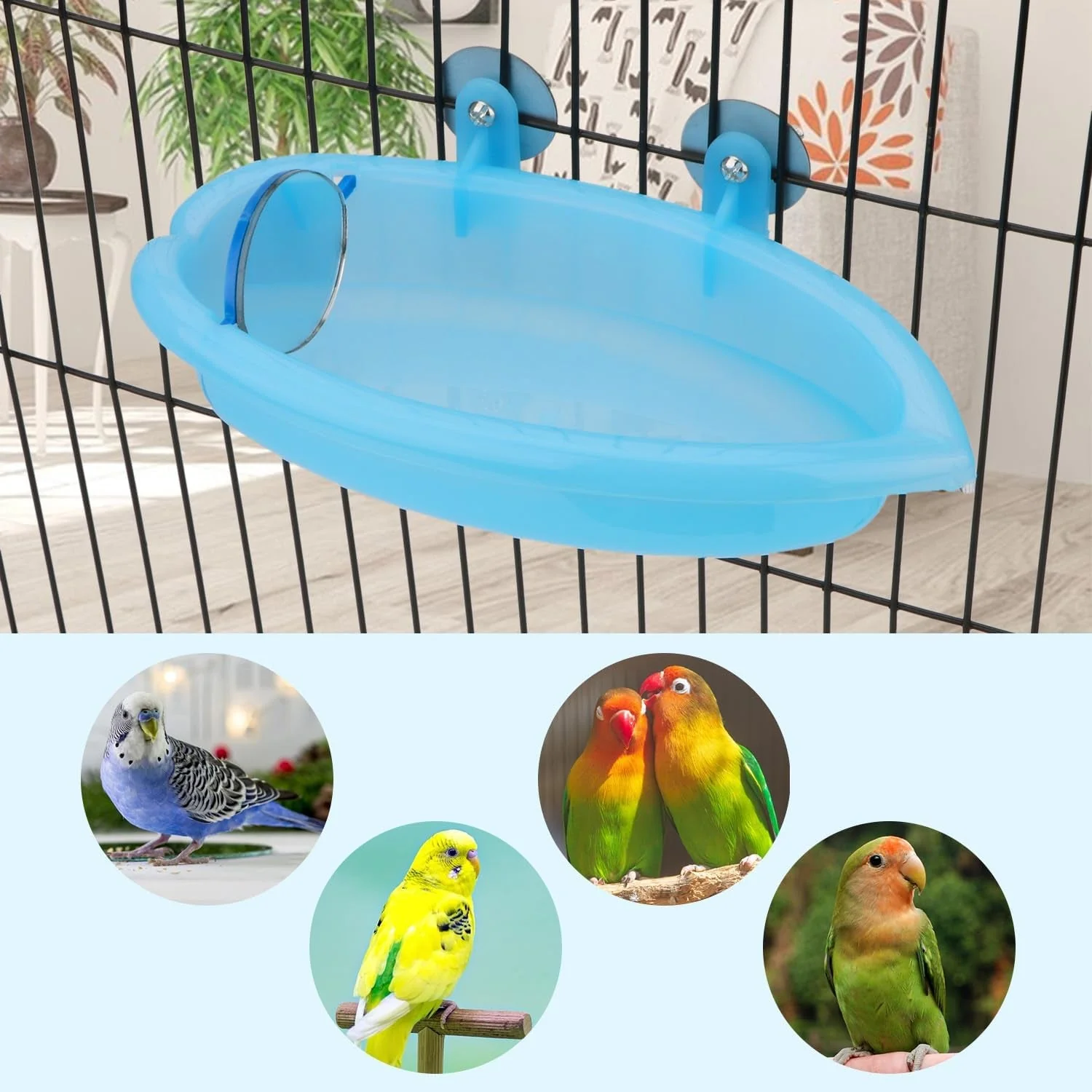 Bird Bath with Mirror Portable - Image 7