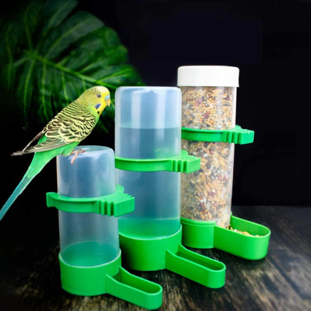 Bird Feeder - Image 6