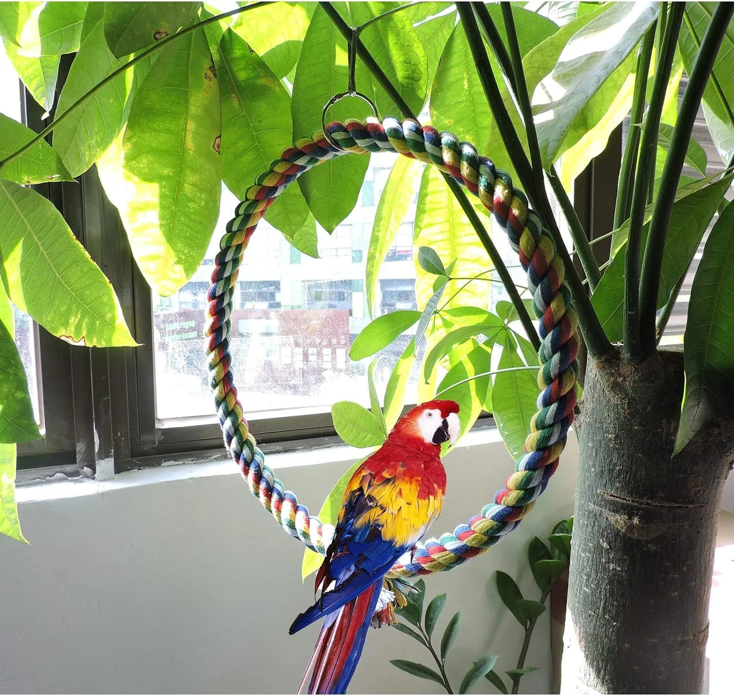Bird Swing - Image 3