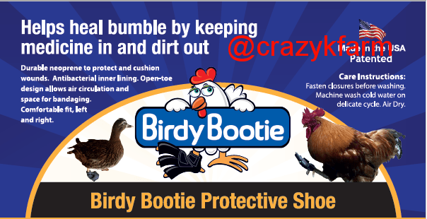 Birdy Bootie (chicken shoes, chicken booties, duck booties and goose shoes) - Image 3