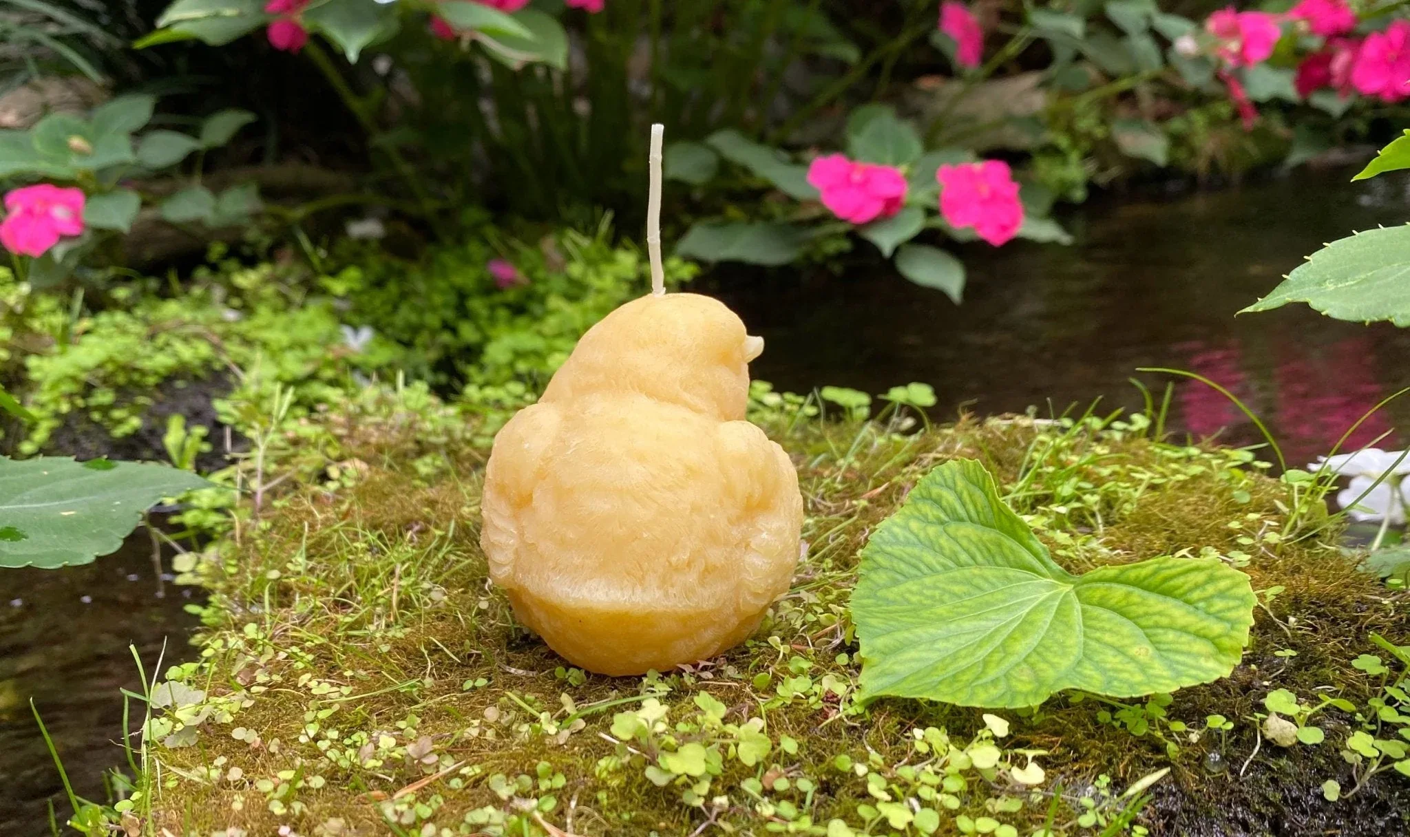 Birdy Perched Beeswax Candle - Image 4