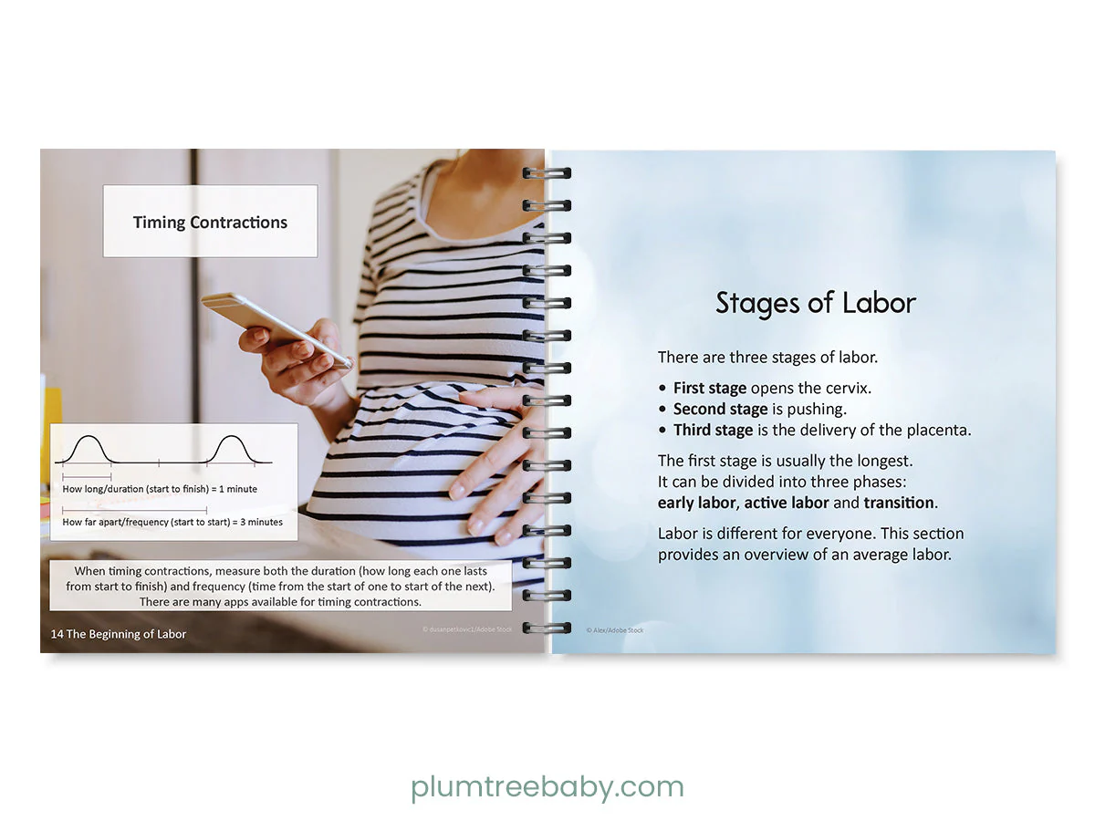 Birth Basics Pocket Guide - Image 2