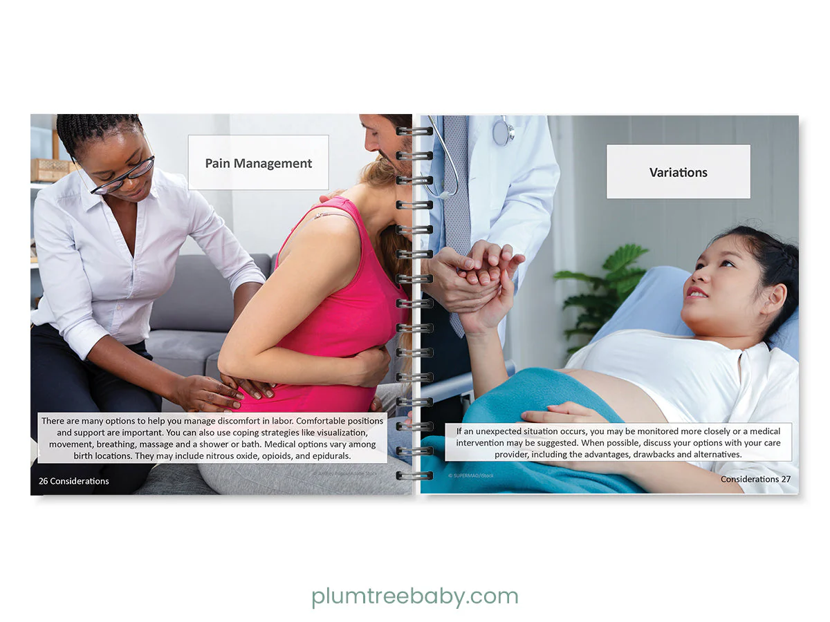Birth Basics Pocket Guide - Image 3