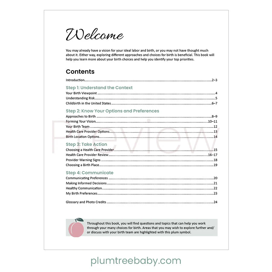 Birth Choices Booklet - Image 2
