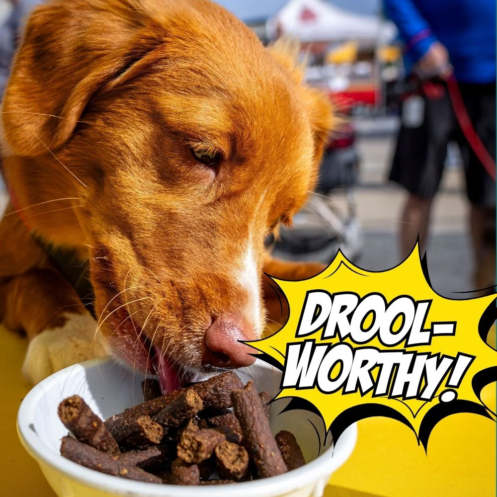 Birthday Dog Treats, 4-Pack - Image 2