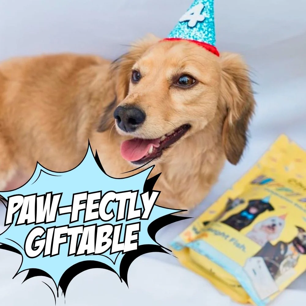 Birthday Dog Treats, 4-Pack - Image 3