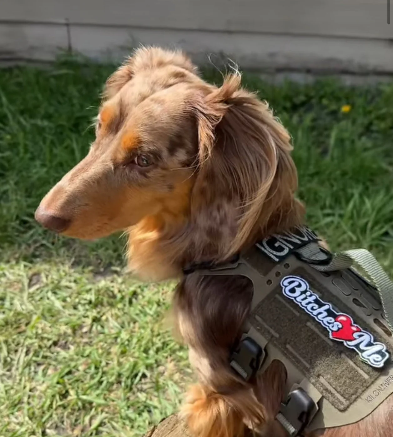 Bitches Love Me Morale Patch - Image 3