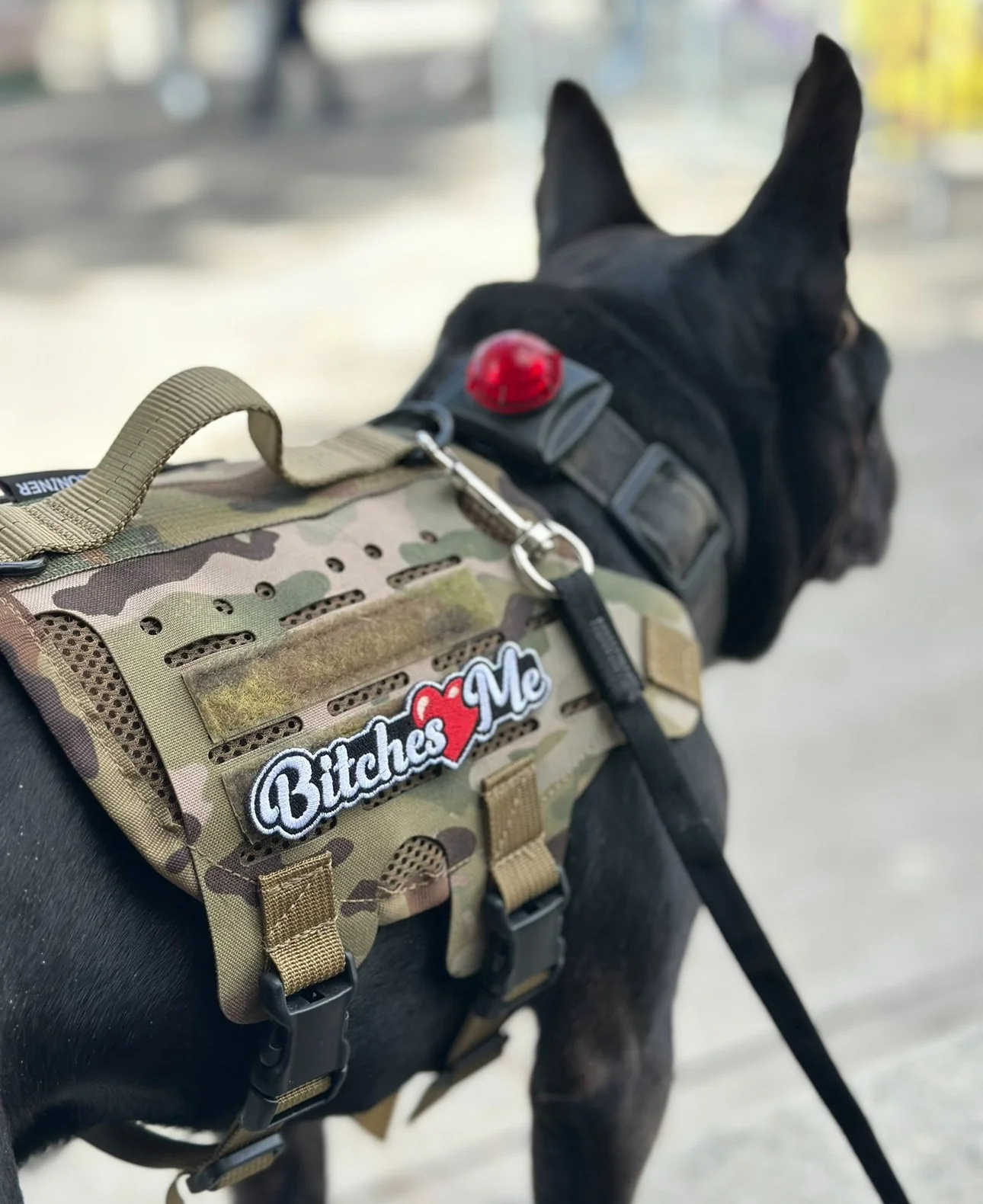 Bitches Love Me Morale Patch - Image 4