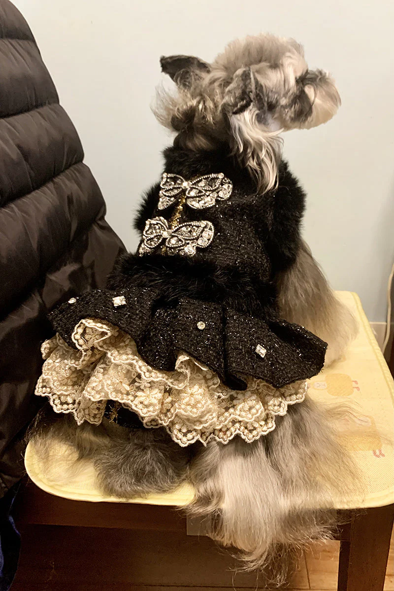 Black Butterfly Embellished Pet Dress Dog Coat - Image 6