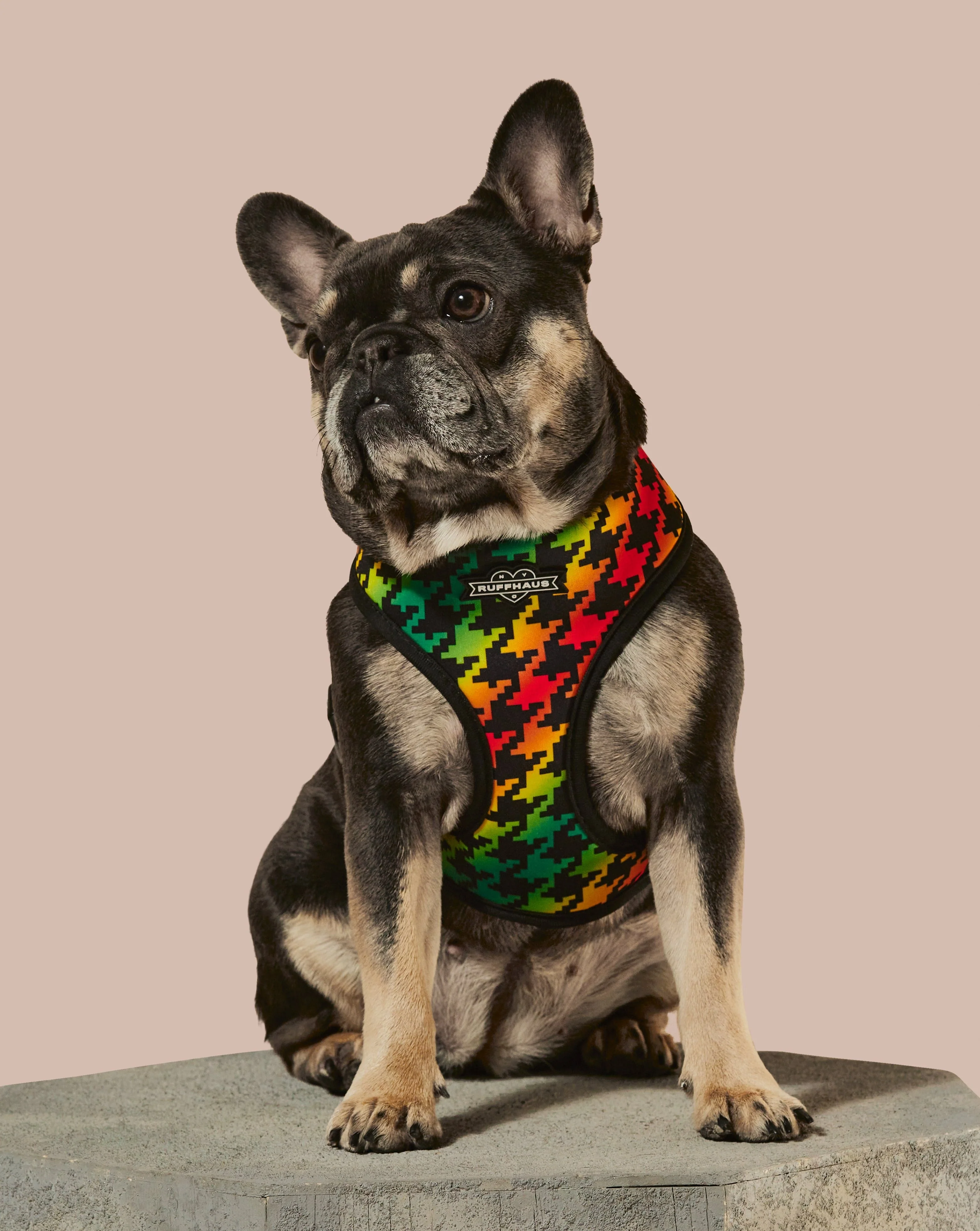 Bless Up Reversible Harness - Image 2