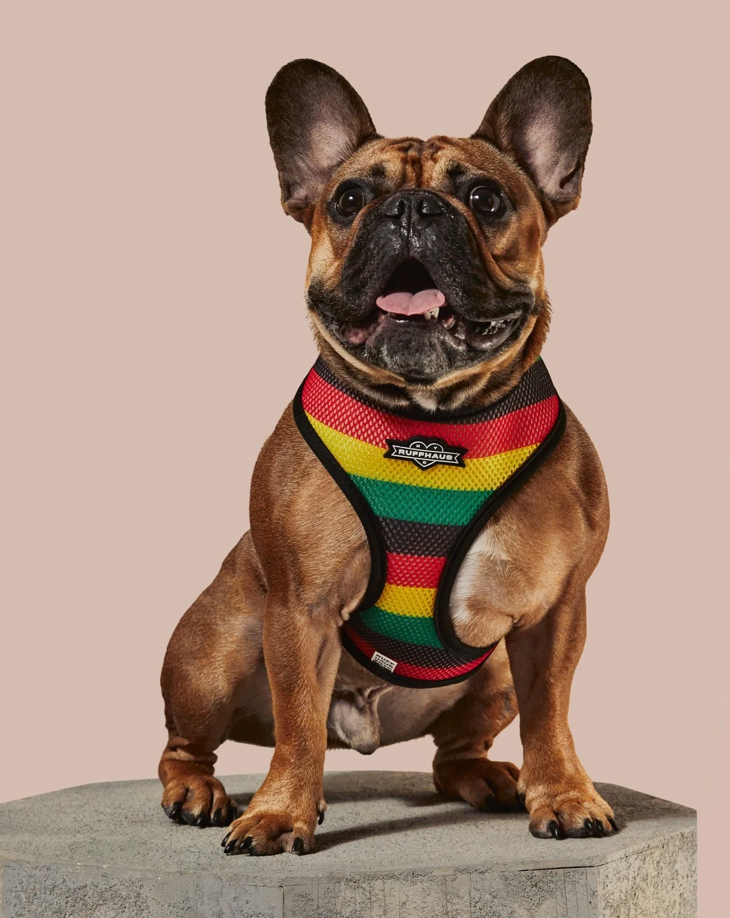 Bless Up Reversible Harness - Image 3
