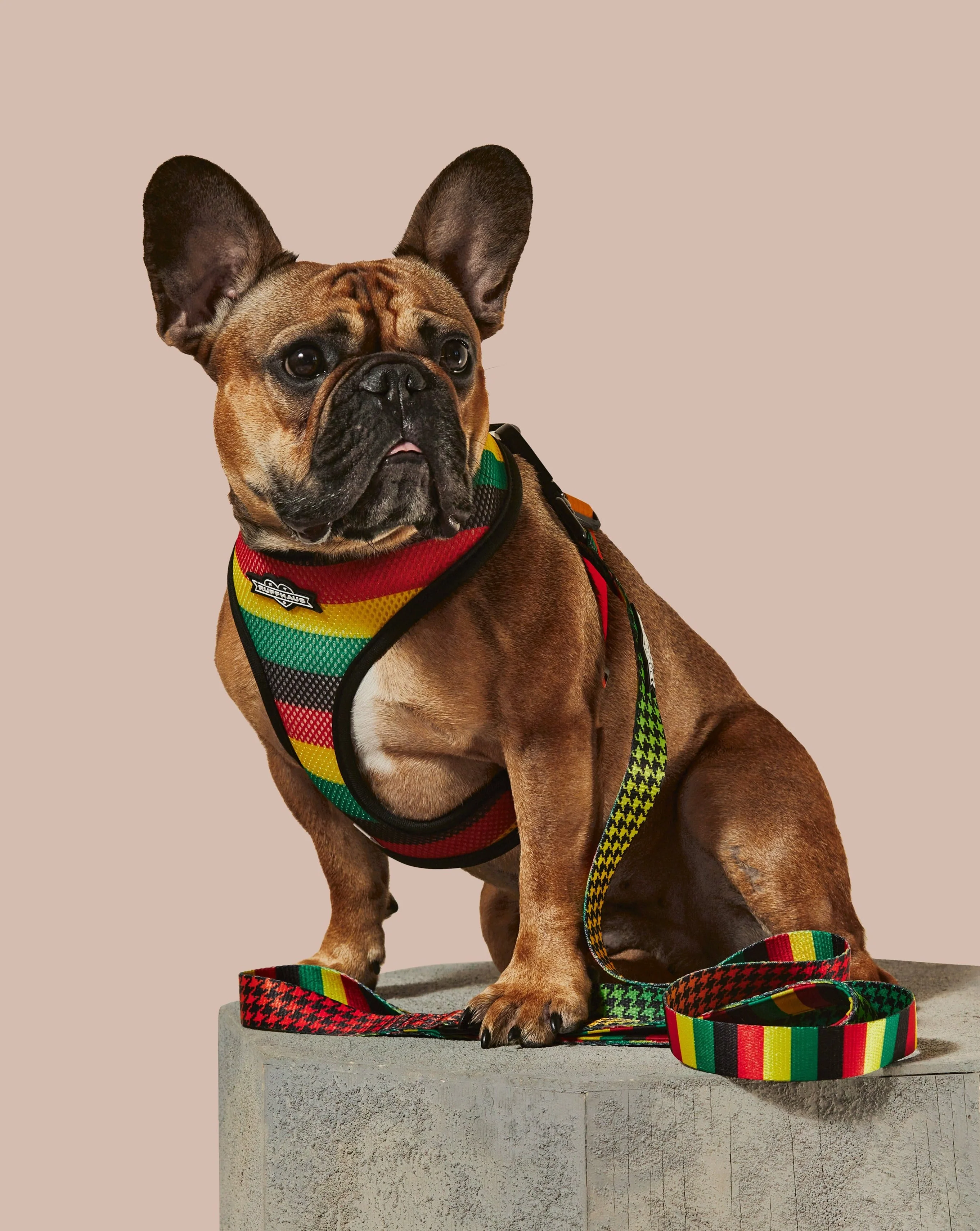 Bless Up Reversible Harness - Image 4