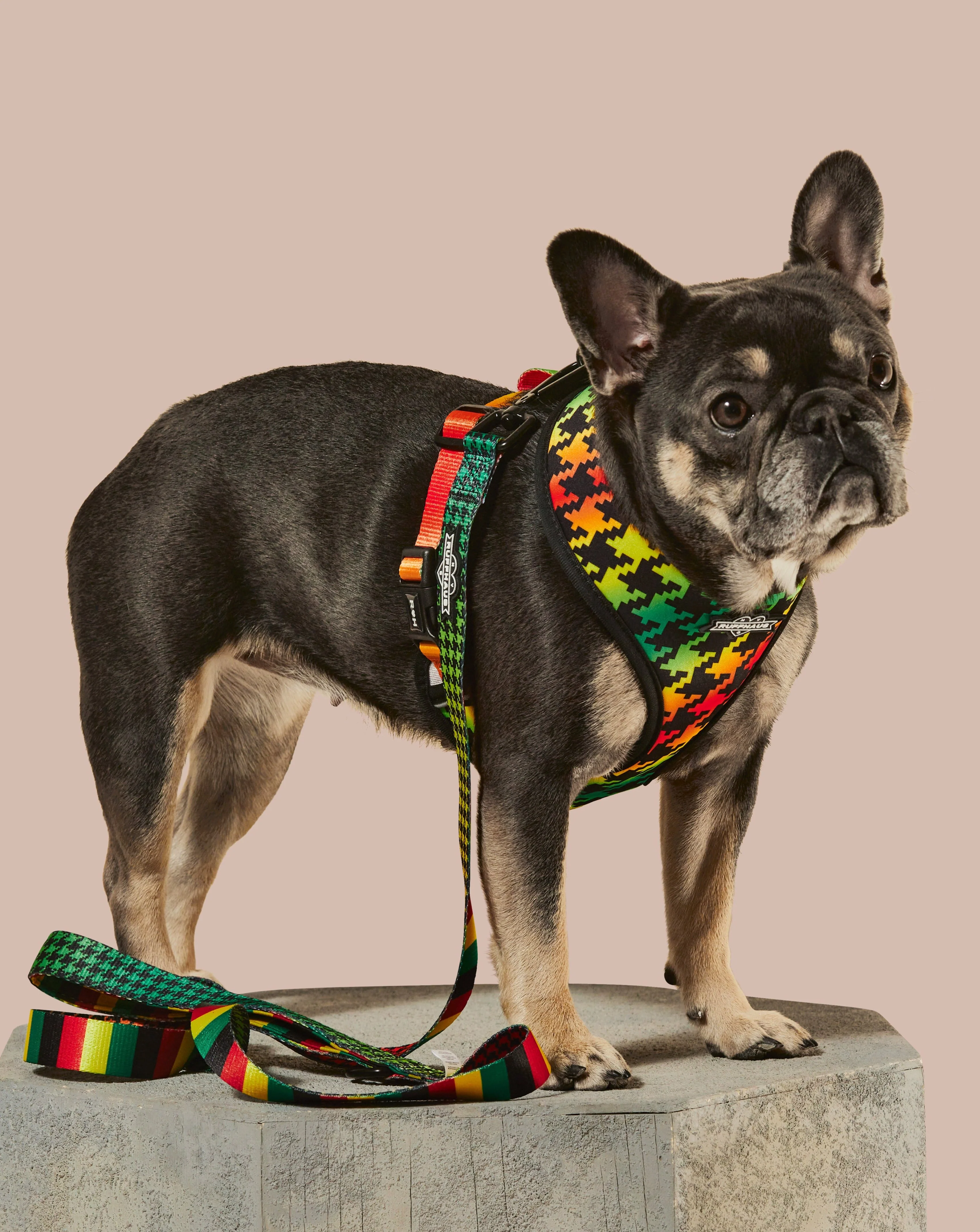 Bless Up Reversible Harness - Image 5
