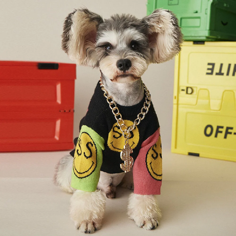Bling Dollar Chain For Dogs - Image 2
