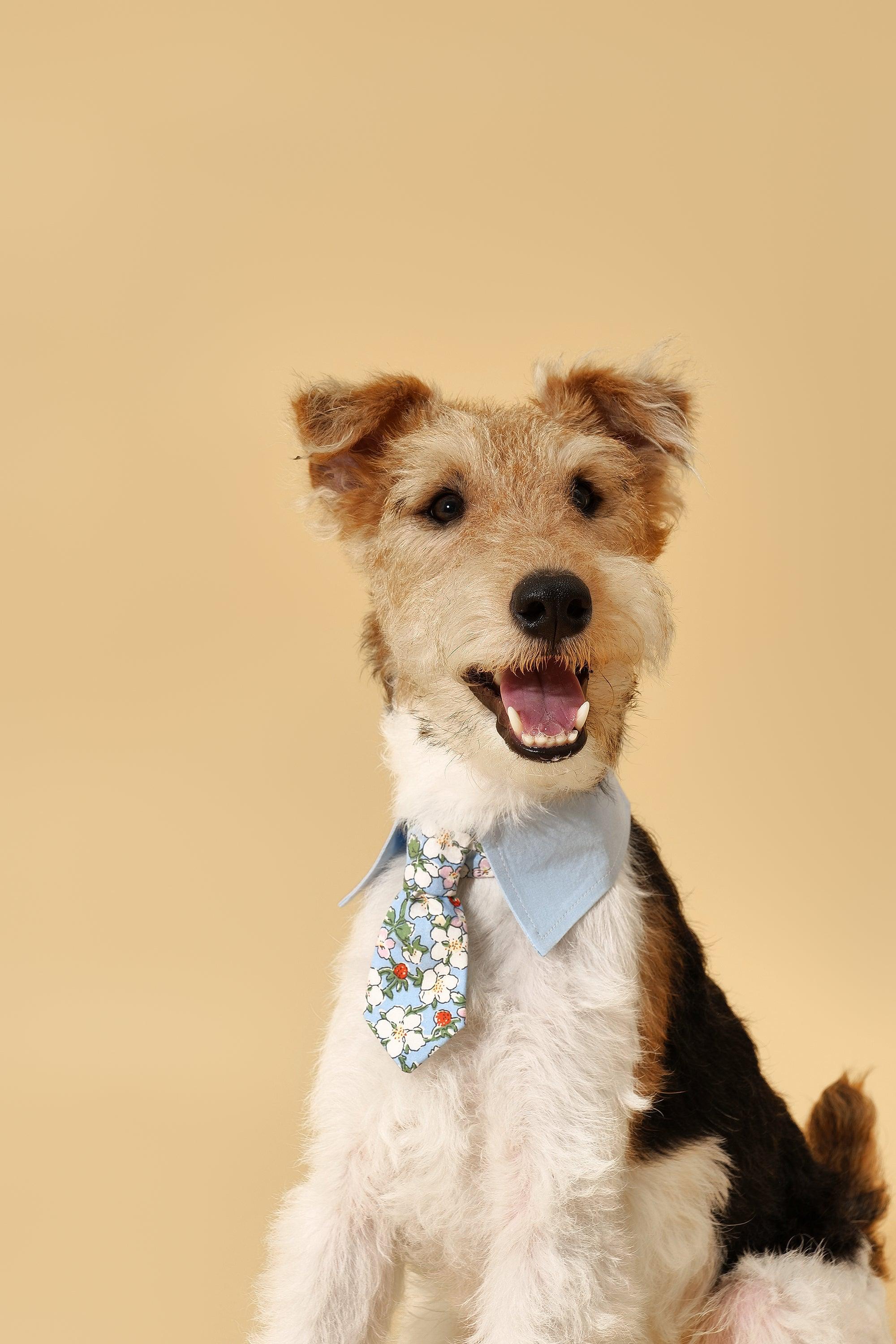 Blue Botanique Necktie Bandana - Image 2