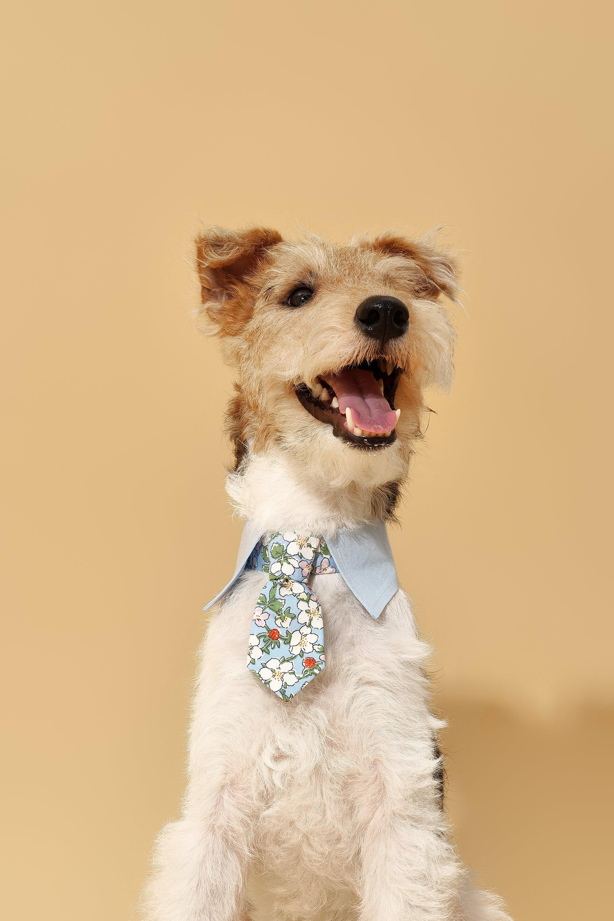 Blue Botanique Necktie Bandana - Image 4