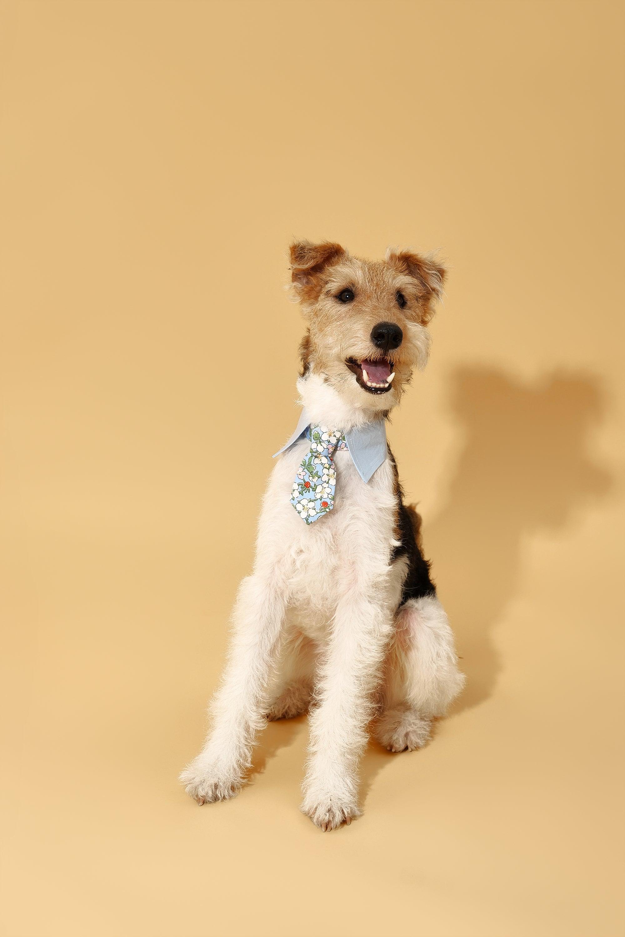 Blue Botanique Necktie Bandana - Image 5