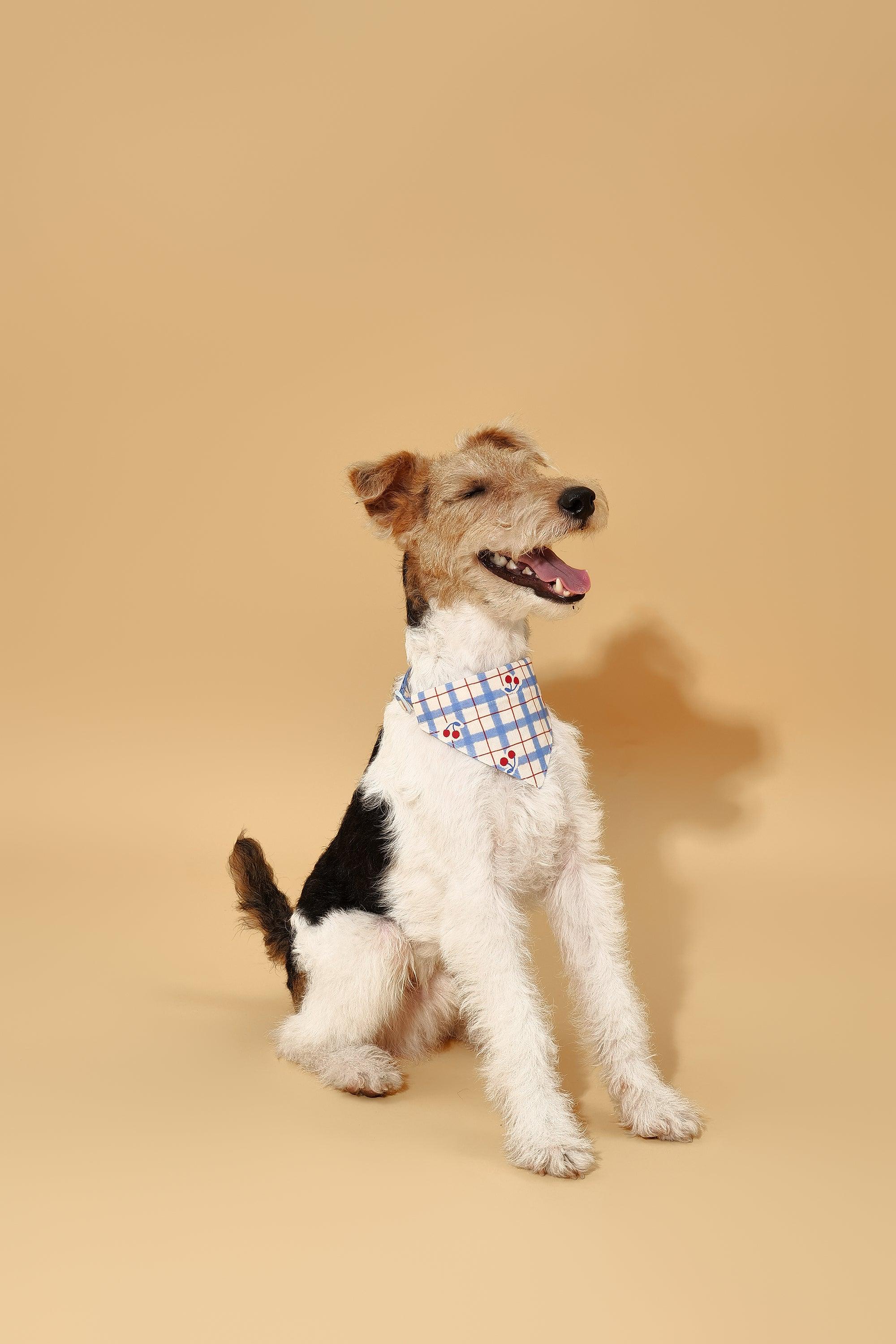 Blue Gingham Cherry Bandana - Image 4