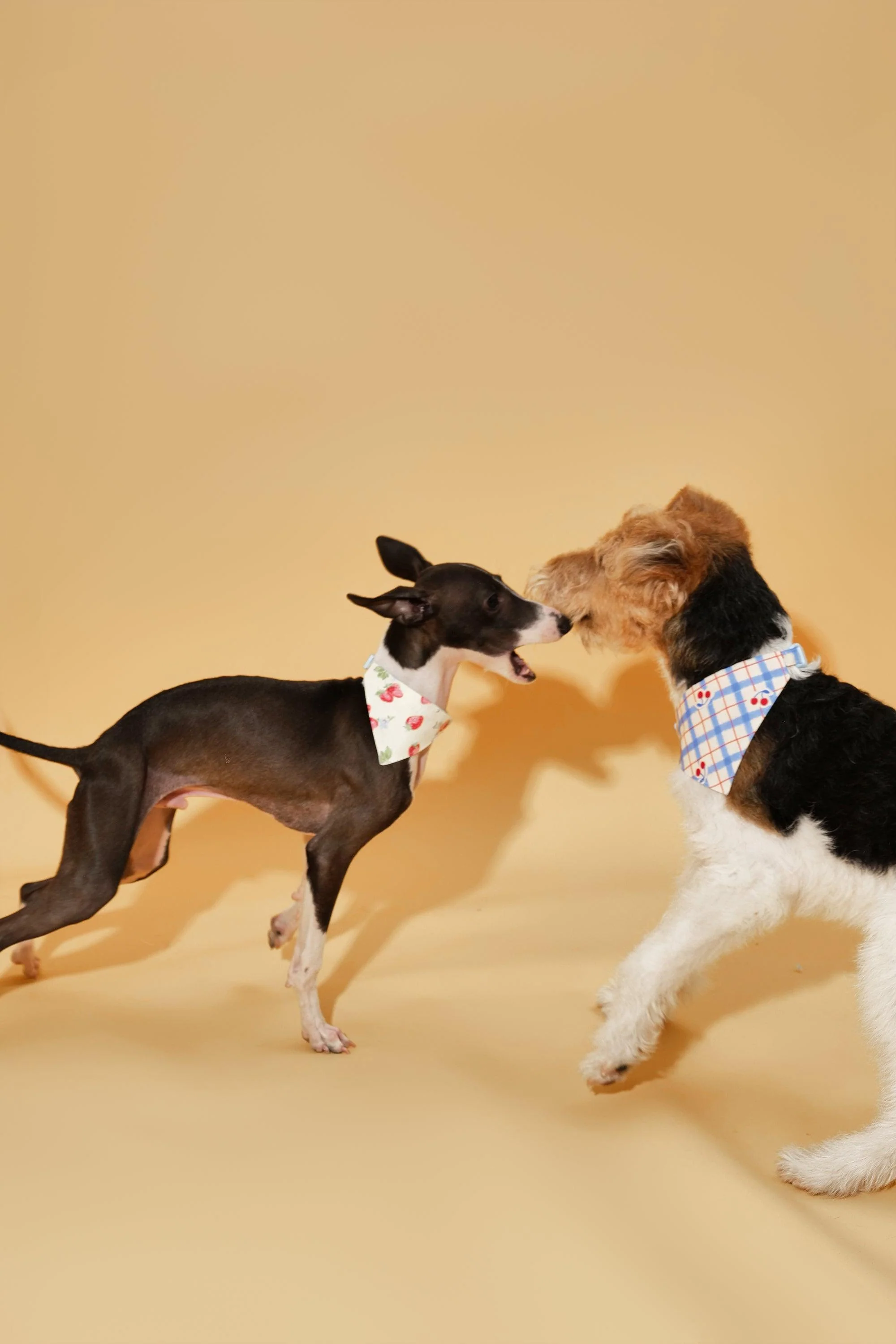 Blue Gingham Cherry Bandana - Image 6