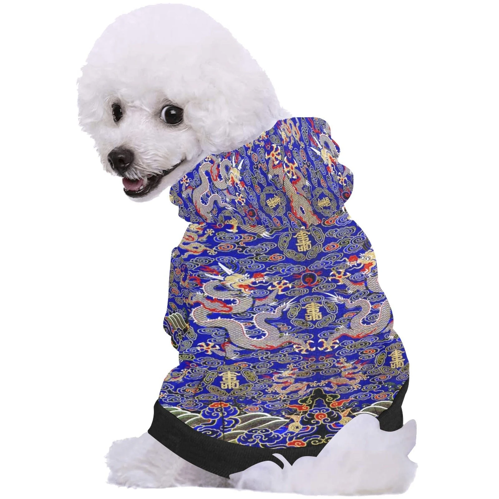 Blue Imperial Dragon Button Hoodie - Image 2