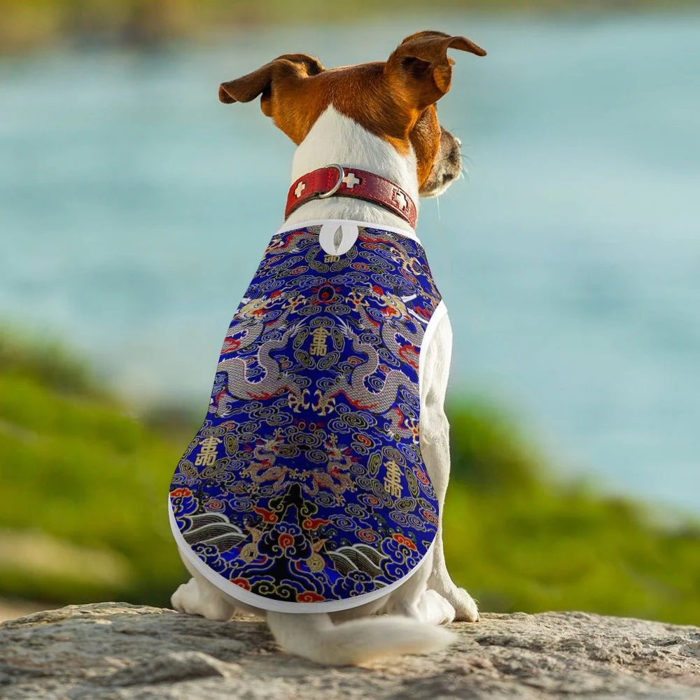 Blue Imperial Dragon Pet Vest - Image 5