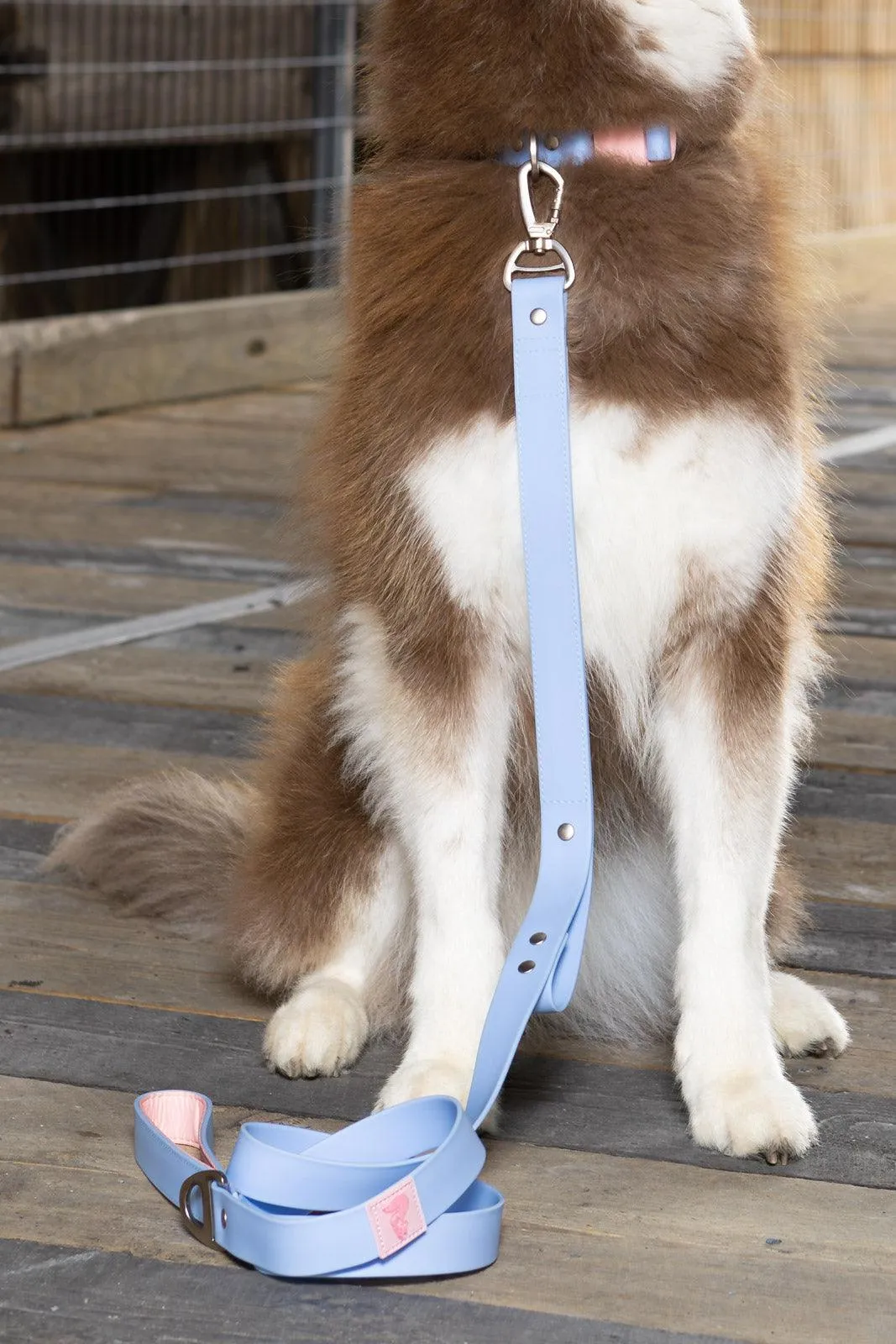 Blue Sky Orchid Waterproof Leash - Image 2