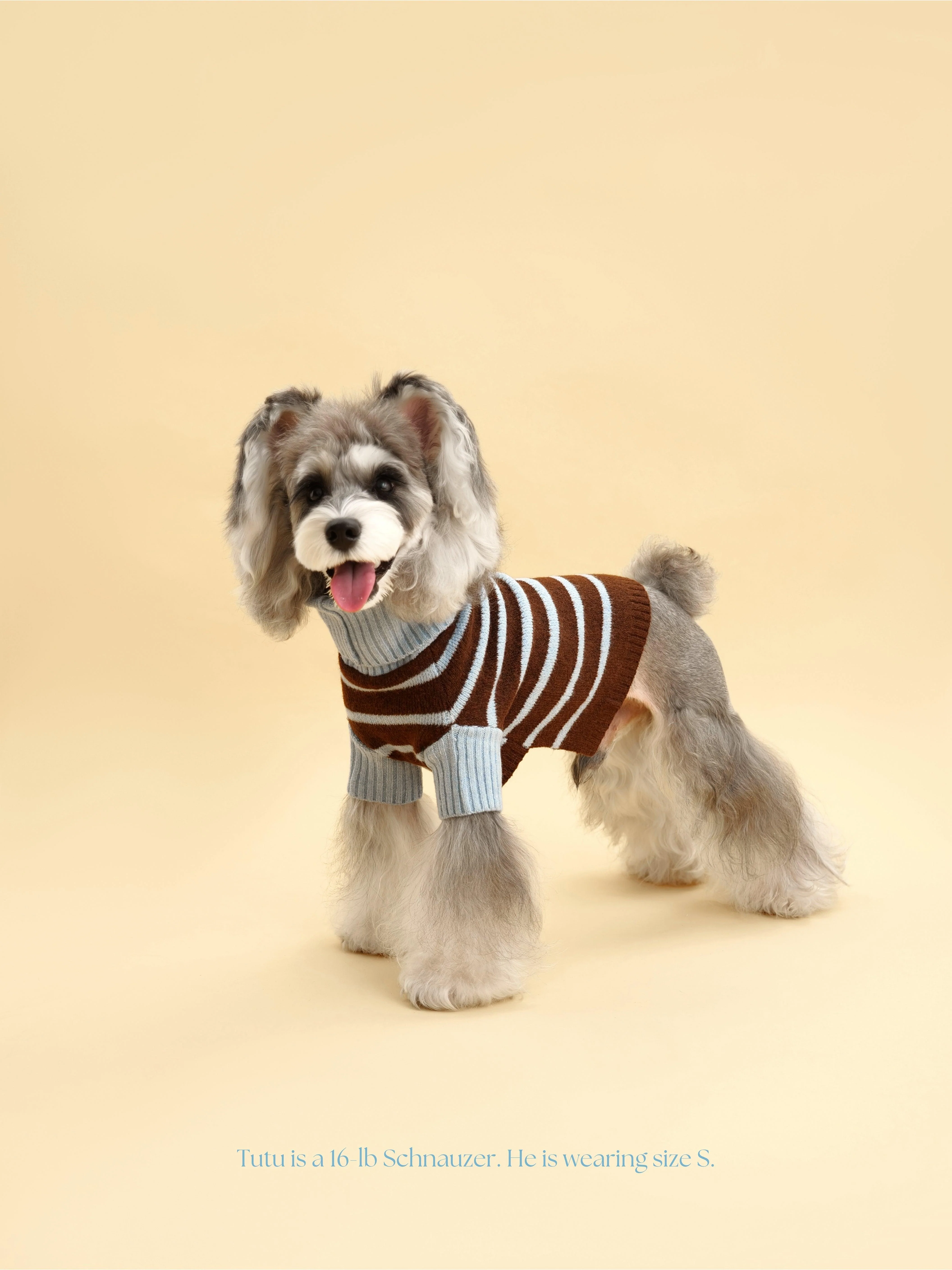 Bluebell Stripes Sweater - Image 2