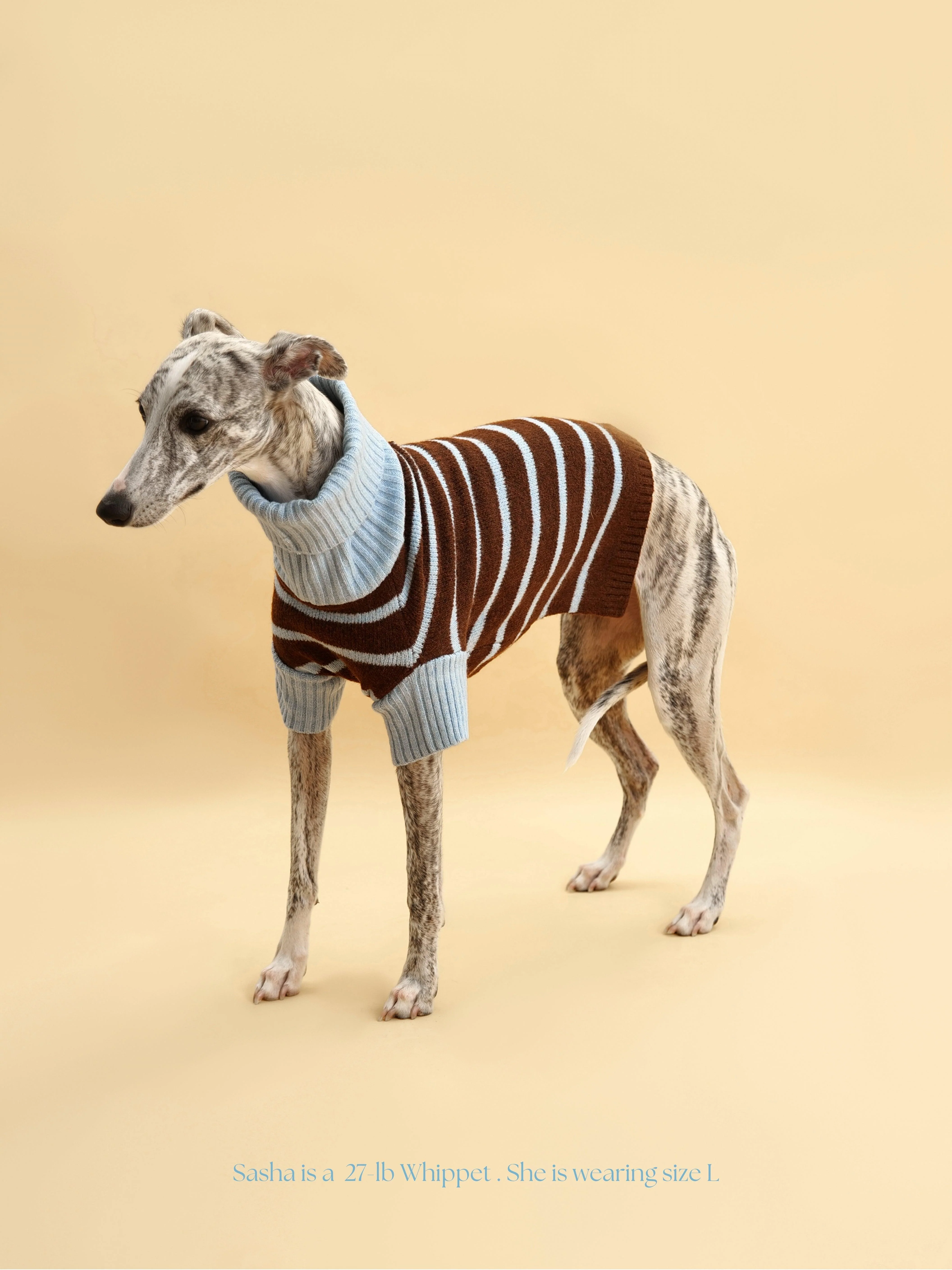 Bluebell Stripes Sweater - Image 4
