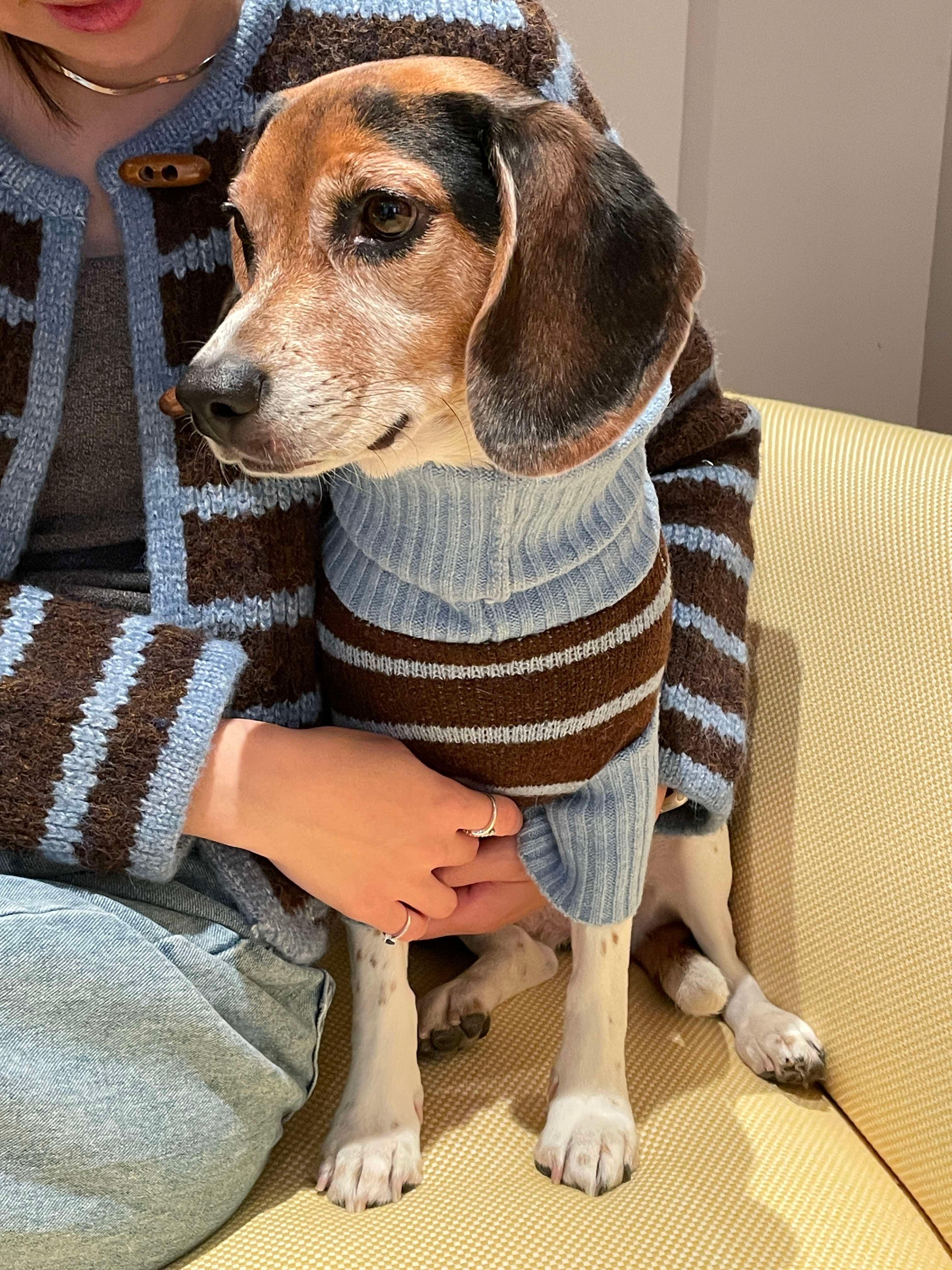 Bluebell Stripes Sweater - Image 5