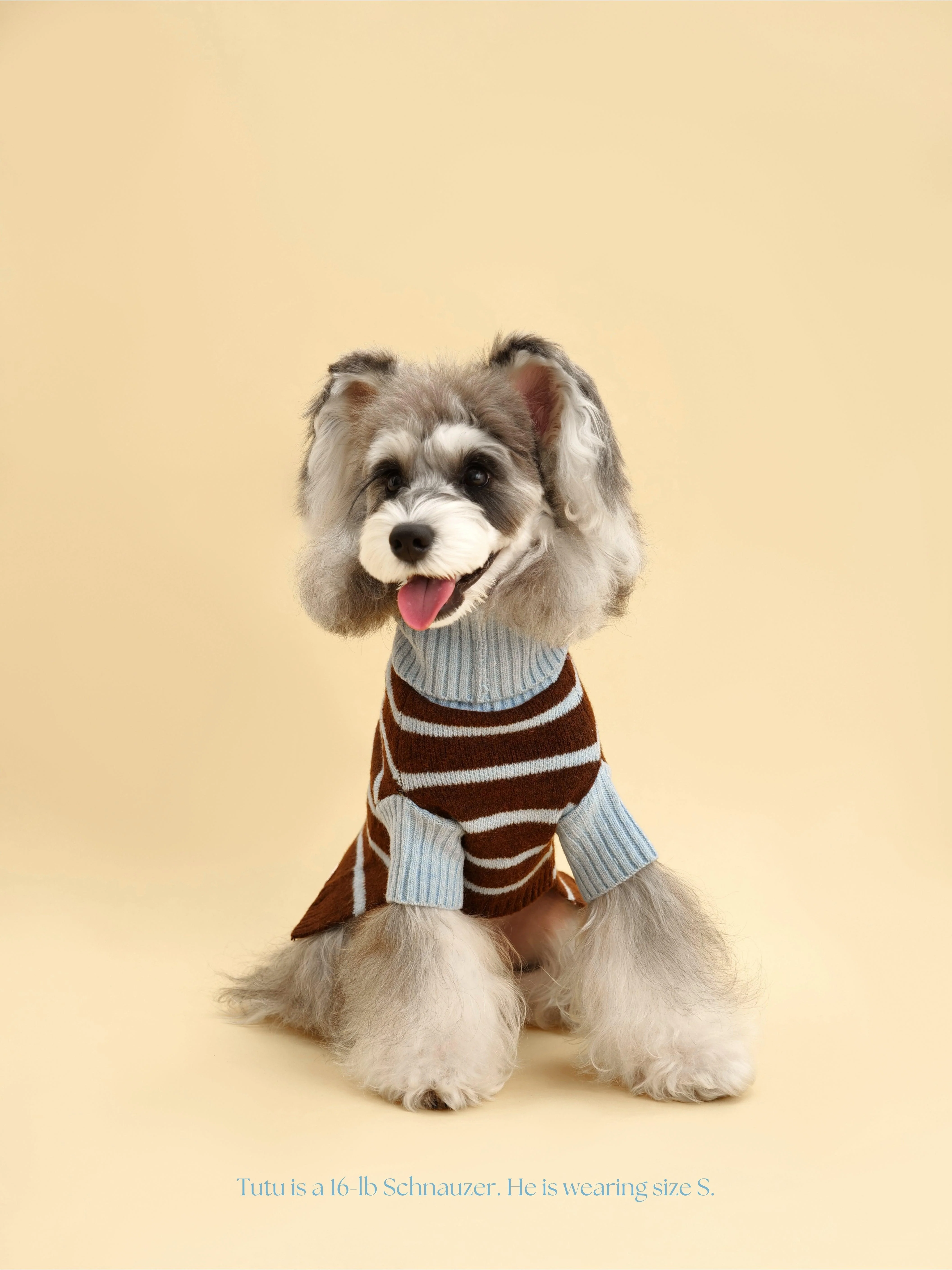 Bluebell Stripes Sweater - Image 6