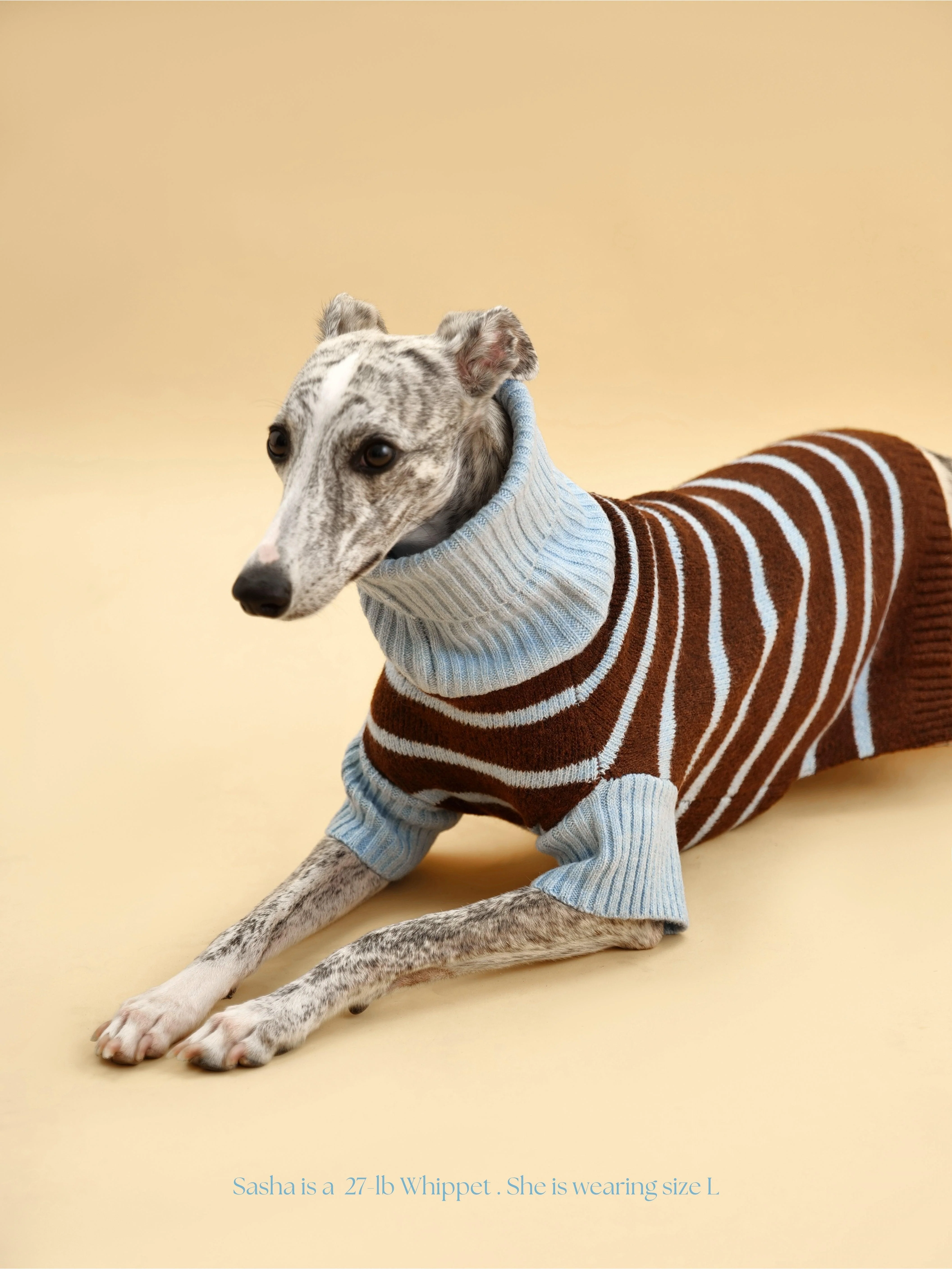 Bluebell Stripes Sweater - Image 7