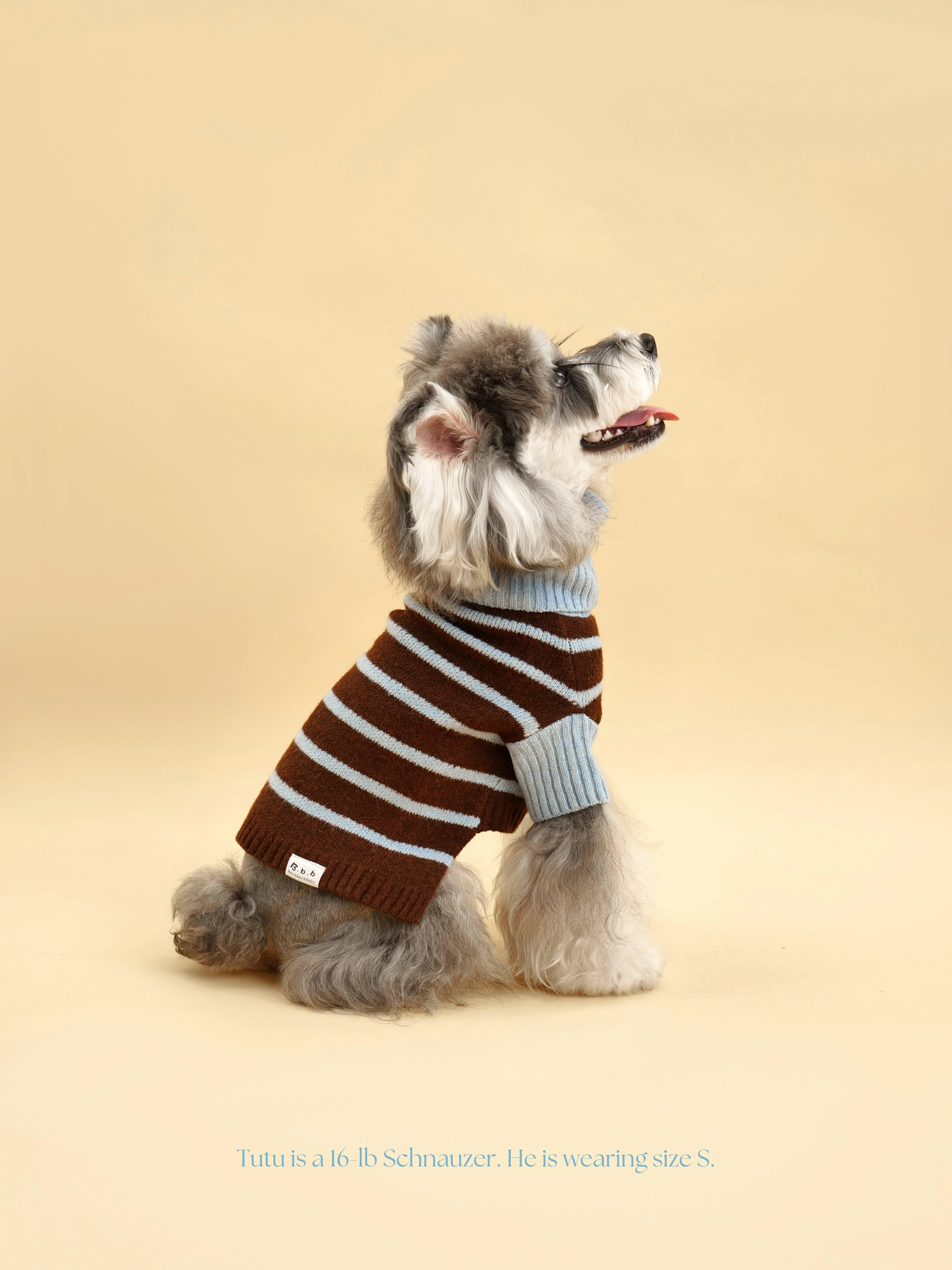 Bluebell Stripes Sweater - Image 8