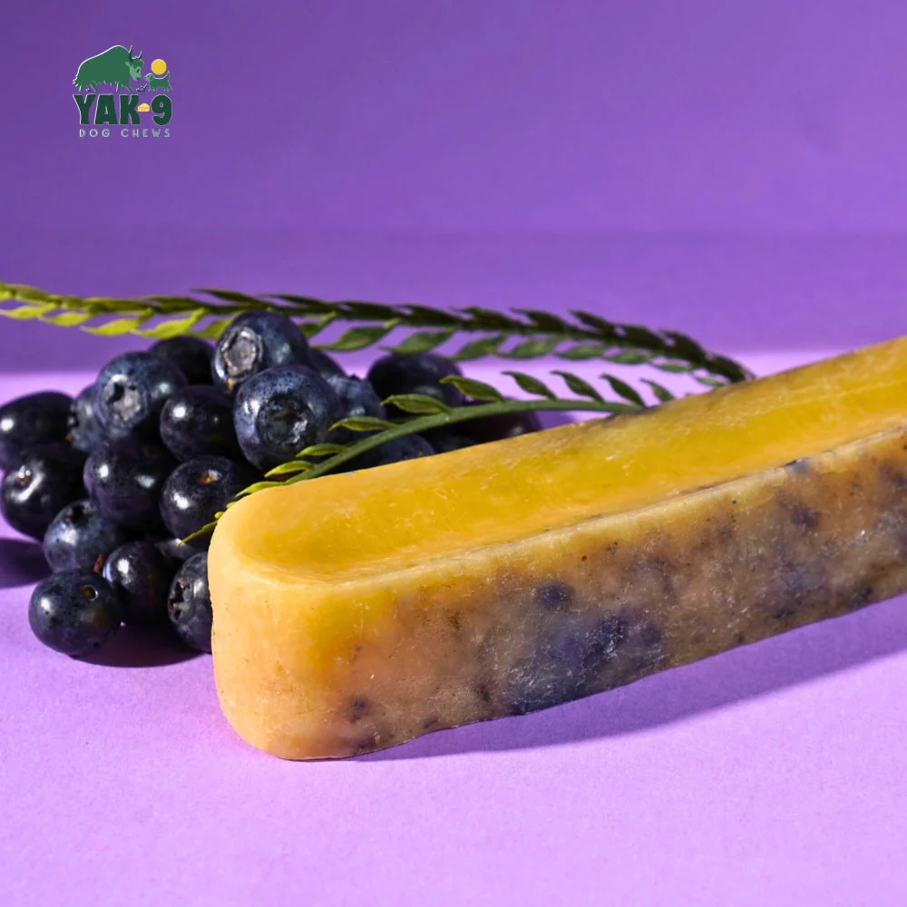 Blueberry Cheese Chews for Dogs - Image 3