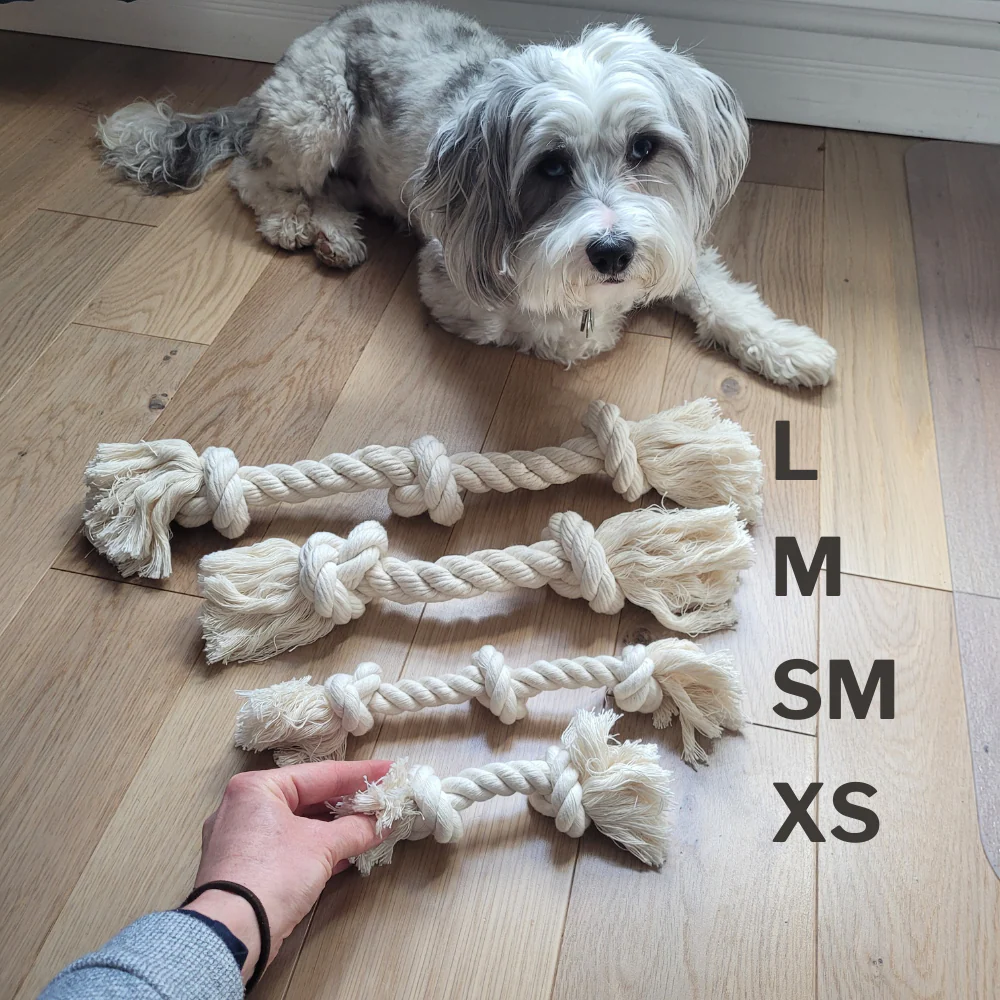 Boba & Vespa 100% Organic Cotton Rope Dog Toy - 5 Sizes - Image 3