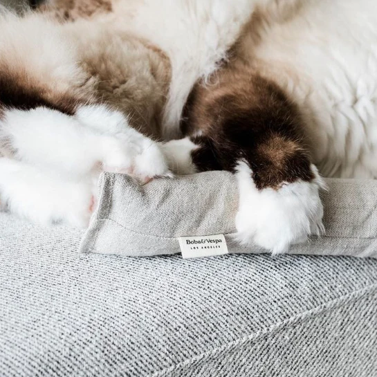 Boba & Vespa Cat Kicker Toy for Bunny Kicks  - DOGS love it too! - Image 4