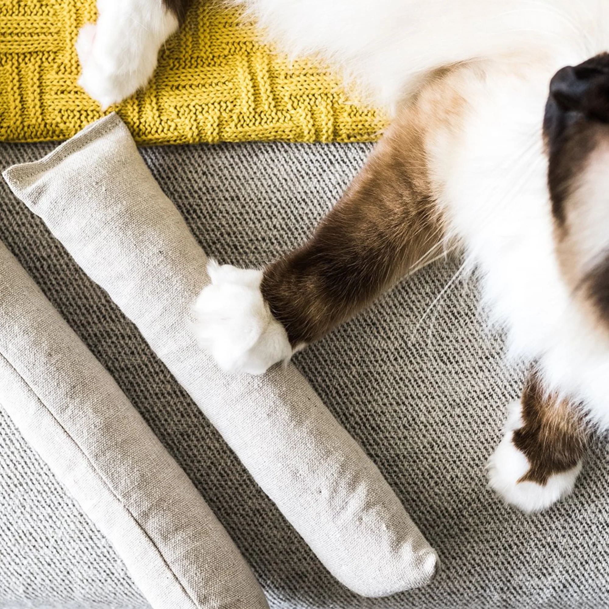 Boba & Vespa Cat Kicker Toy for Bunny Kicks  - DOGS love it too! - Image 5