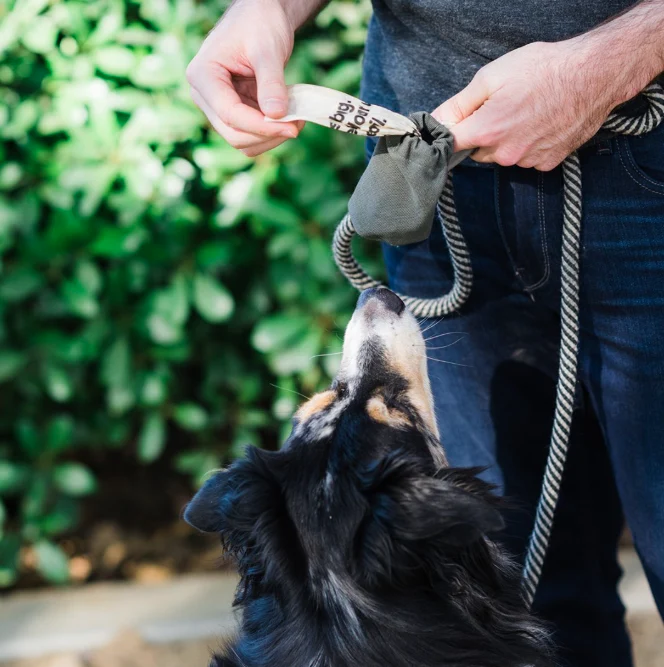 Boba & Vespa Cloth Dog Poop Bag Holder in Cotton Canvas - Image 2