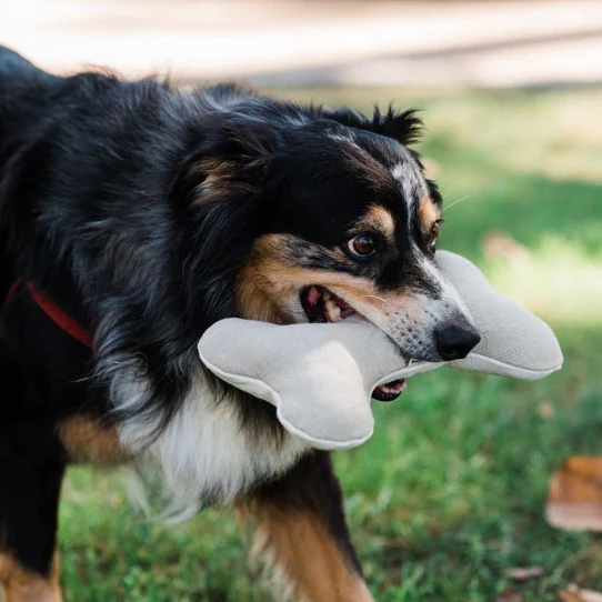 Boba & Vespa Plush Hemp Dog Bone Toy for Gentle Chewers | Soft & Squeaker Free - Image 3