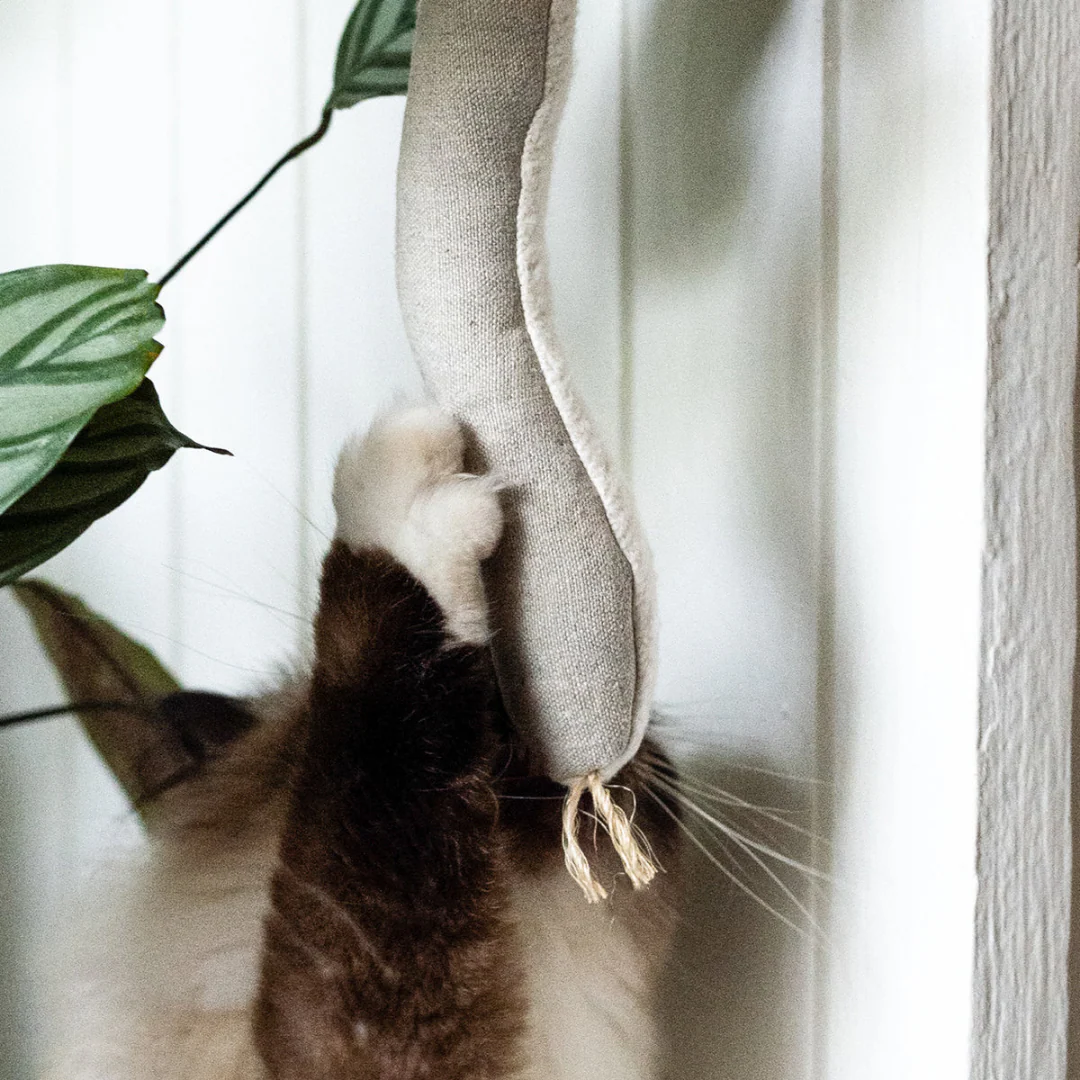Boba & Vespa Snake Toy for Cats in Cotton with Buckwheat Crinkles and Organic Catnip - Image 2