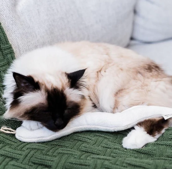Boba & Vespa Snake Toy for Cats in Cotton with Buckwheat Crinkles and Organic Catnip - Image 3