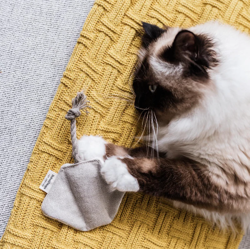 Boba & Vespa Stingray Cat Toy in Cotton with Buckwheat for Crinkles and Organic Catnip - Image 3