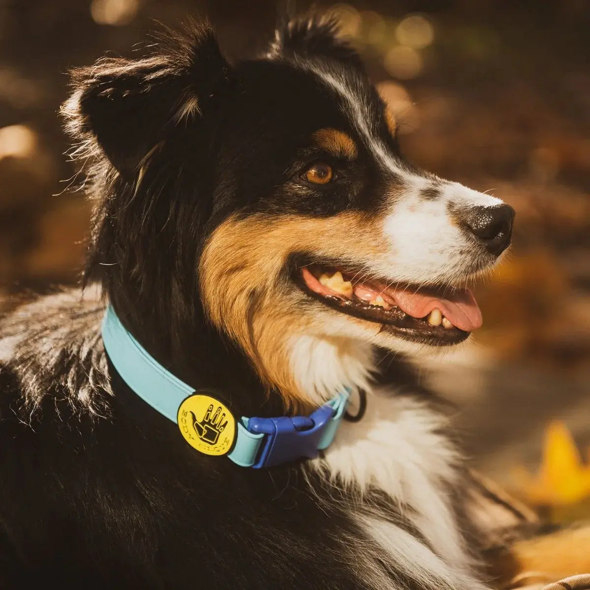 Body Glove Biothane Dog Collar - Image 5