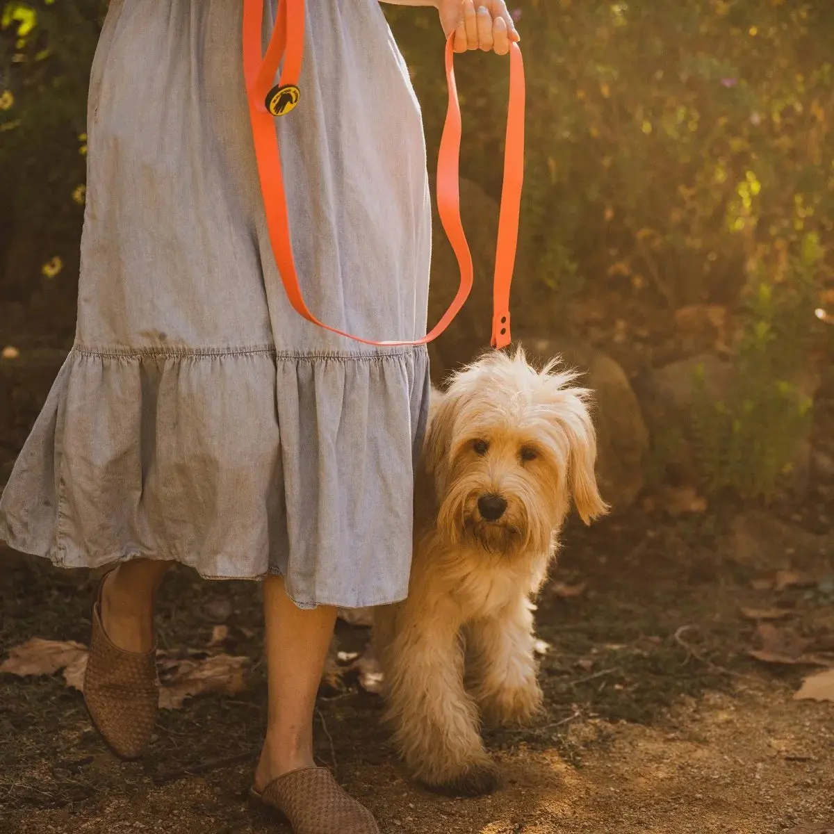Body Glove Biothane Waterproof Leash - Image 5