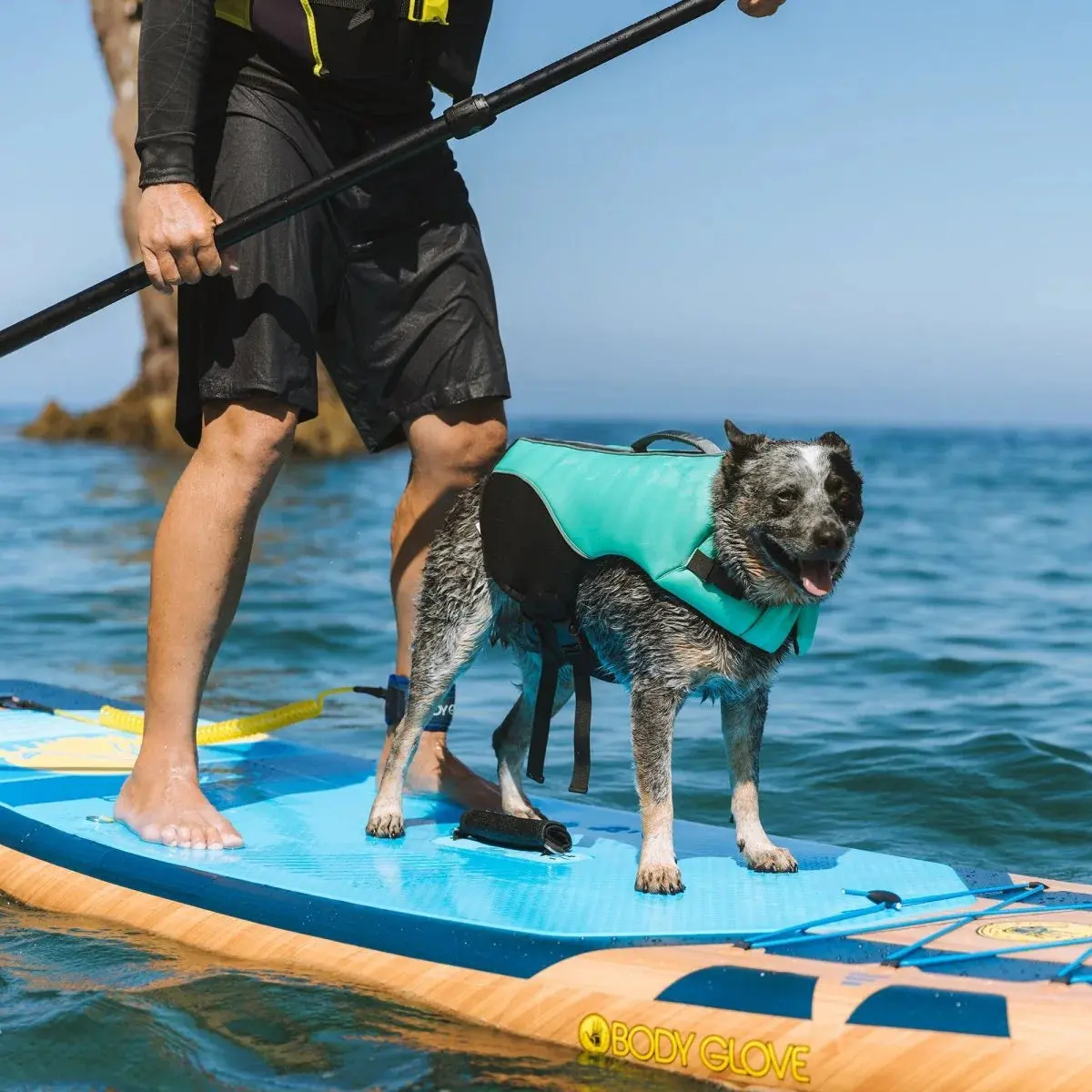 Body Glove Neoprene Pet Life Jacket - Image 3